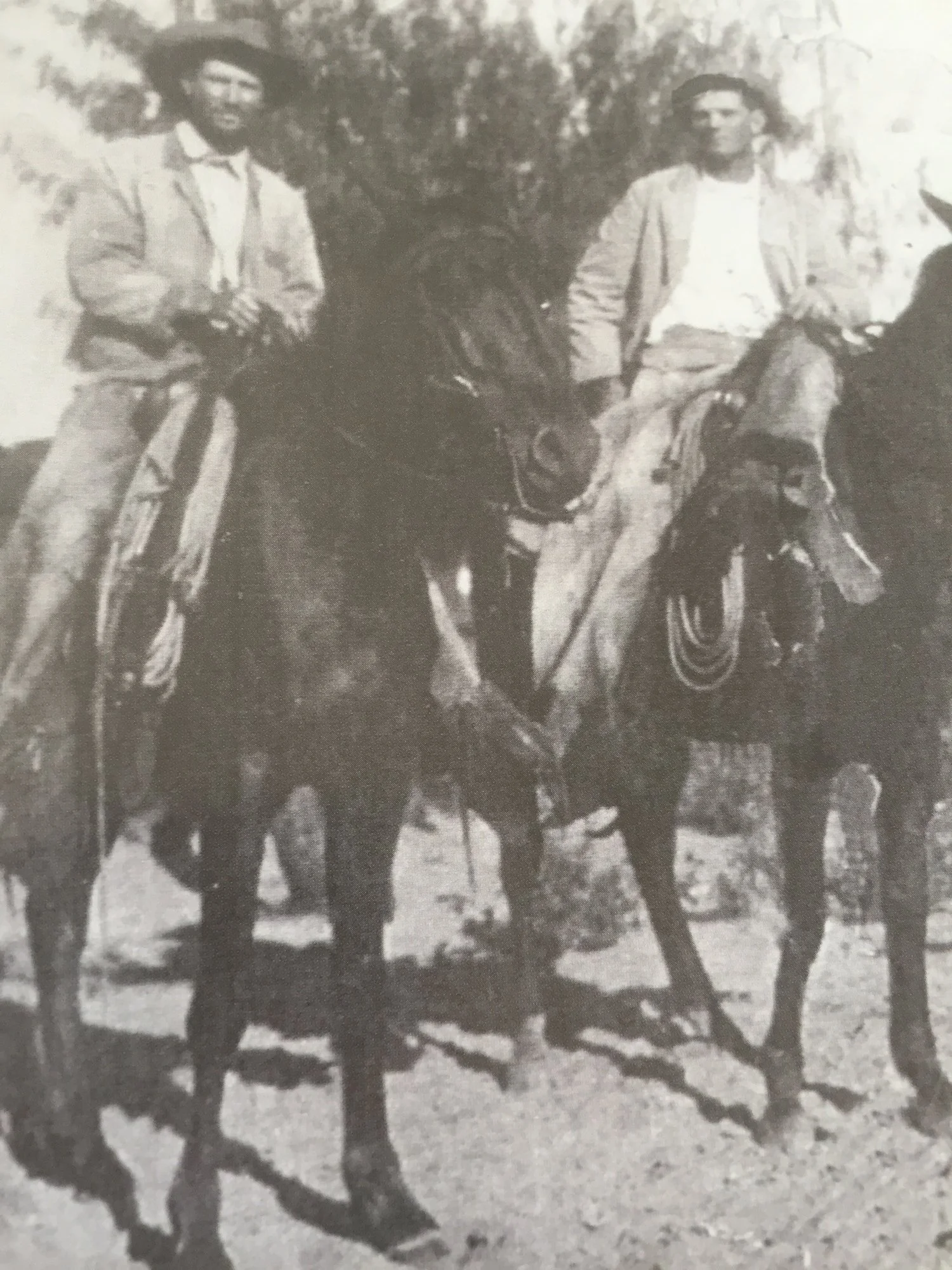 History Alta Vista Ranch