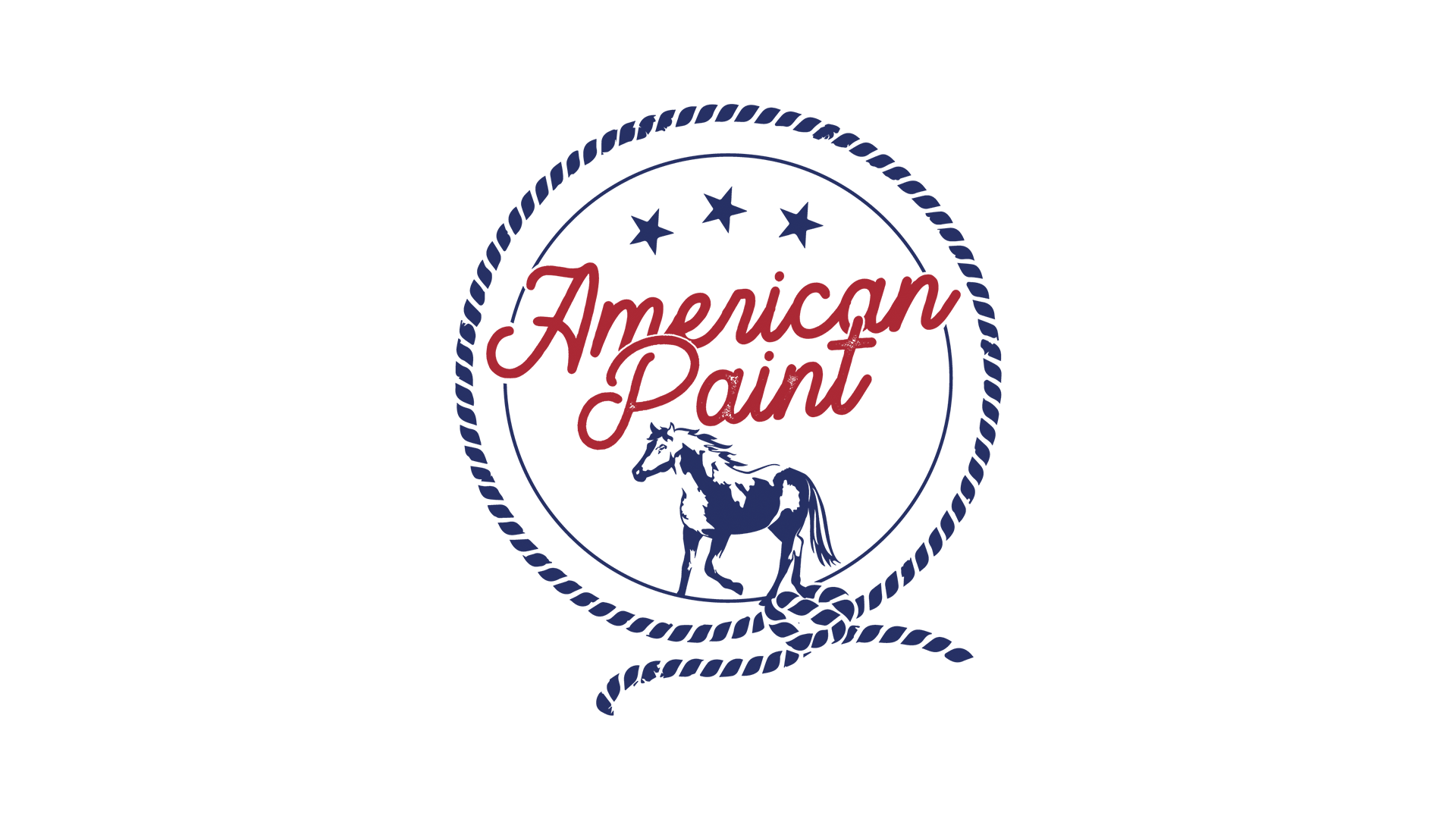 Logo AMERICAN PAINT LOGO.png