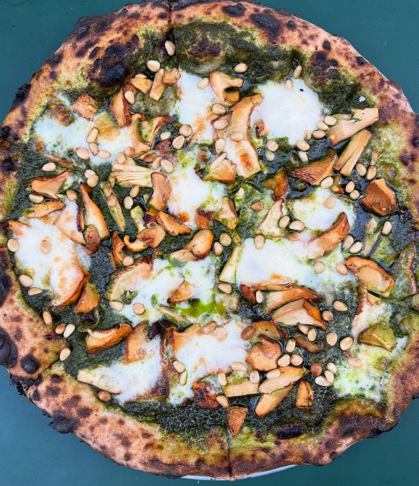 NEW VTA HEAT

Introducing the PESTO MYSTIC an @earthtrinefarm chard pesto base, our house made mozzarella, toasted pine nuts, and seasonal mushrooms. We&rsquo;re lucky enough to be featuring @tuttifruttifarmsca California chanterelles on this inaugur