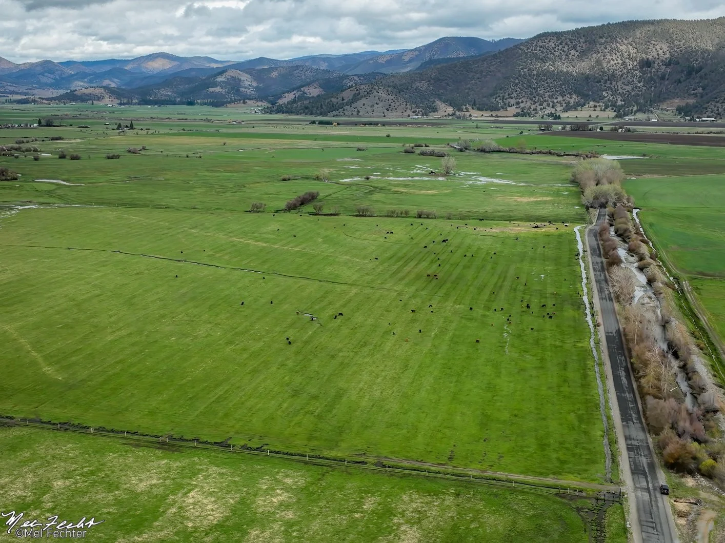 Thinking ahead: Planning for aquifer recharge in Scott Valley