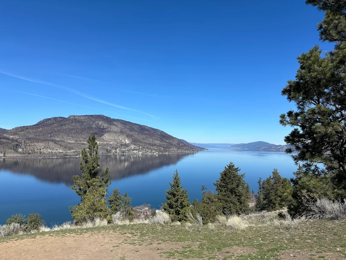 A scenic view from Knox Mountain of a lake with mountains in the background under a clear blue sky, with pine trees in the foreground.