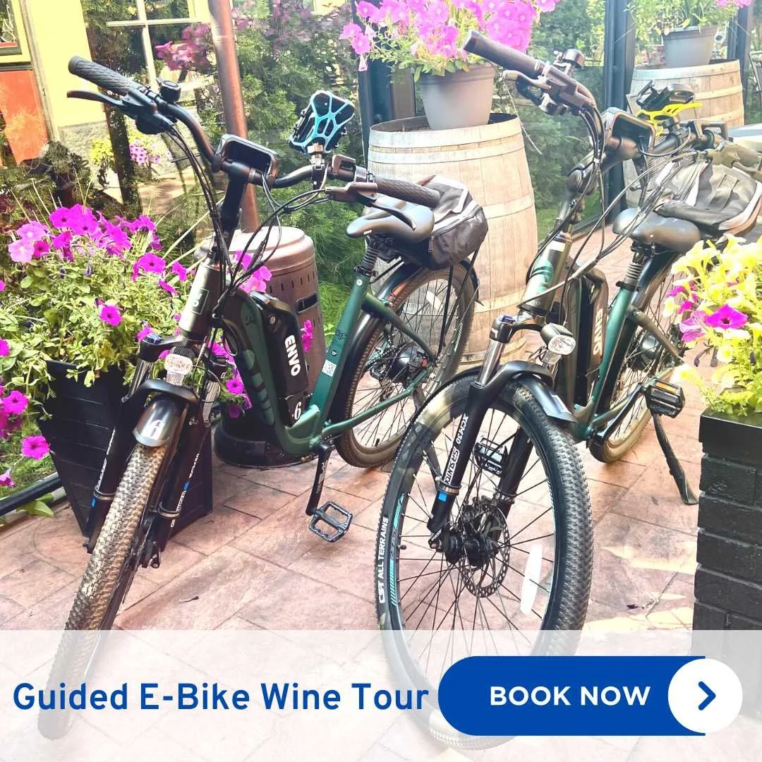 Kelowna E-Bike Wine Tour — Lakeside Eco-Sports