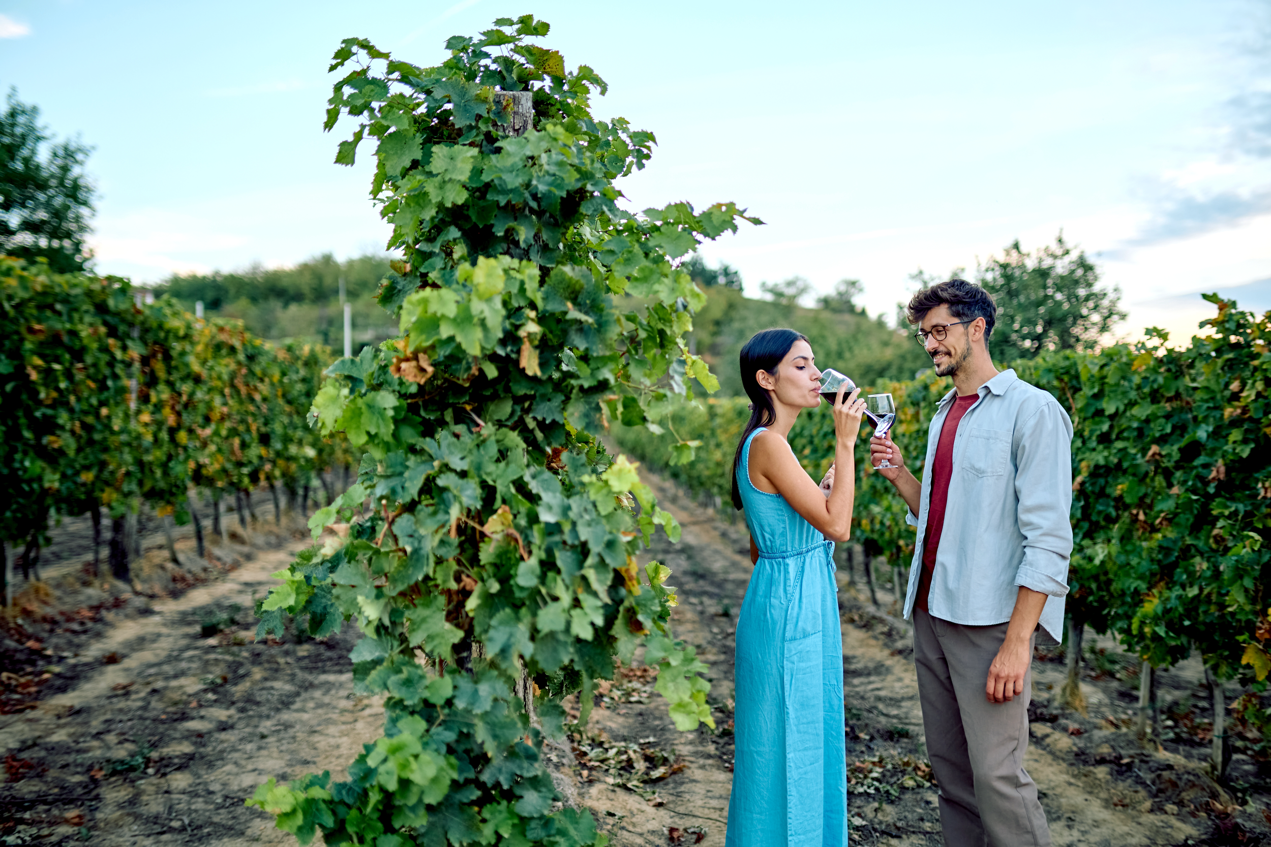 Couple in Vineyard-squashed.webp