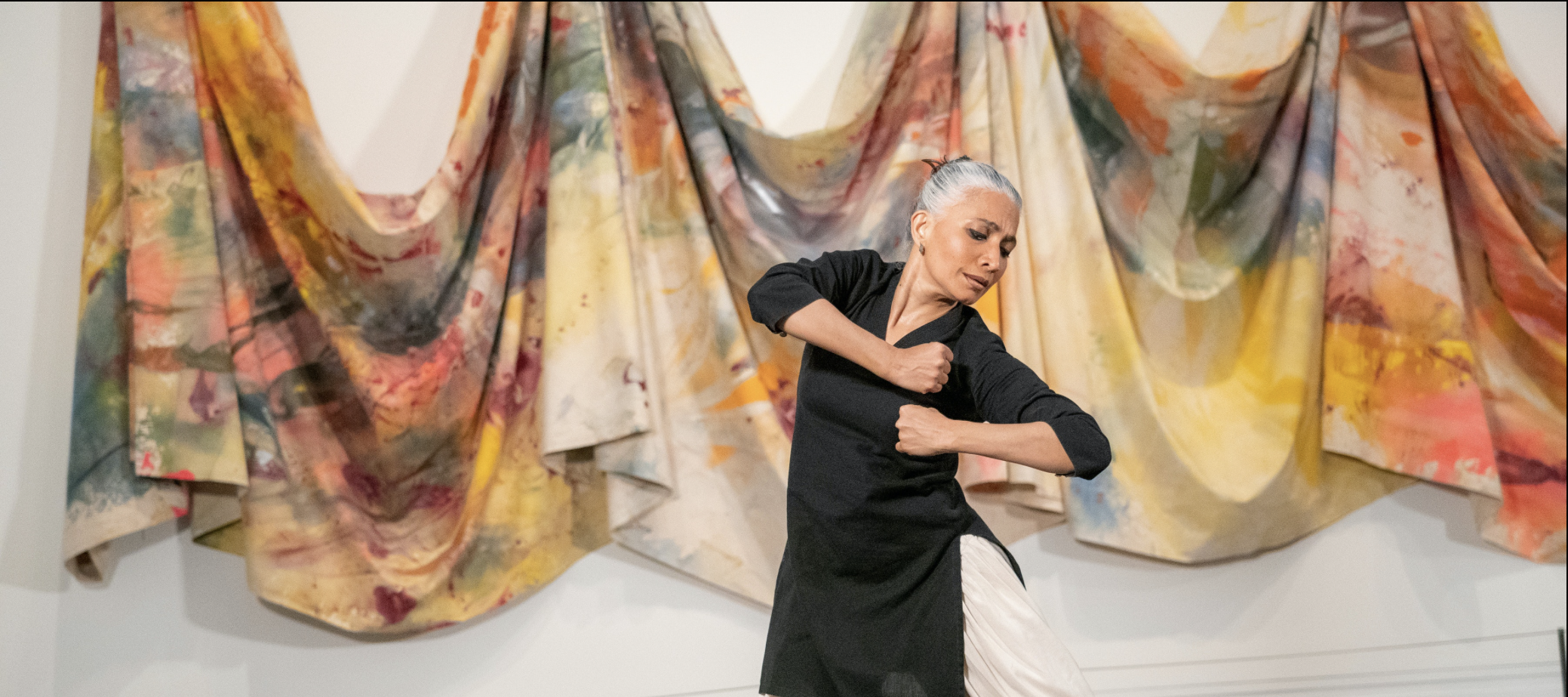 Digital Premiere: Bijayini Satpathy in the Galleries