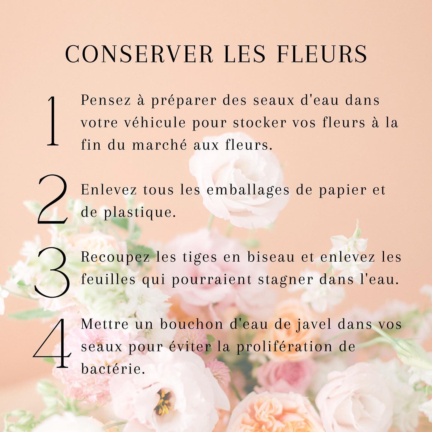 A lire absolument et enregistrer! Quelques conseils pour conserver vos fleurs.
Belle rentr&eacute;e &agrave; tous!

#ecoleflorale #conseilsfleurs #conseilsfloraux #fleurs #passionfleurs #experiencefloraleparis #compositionflorale