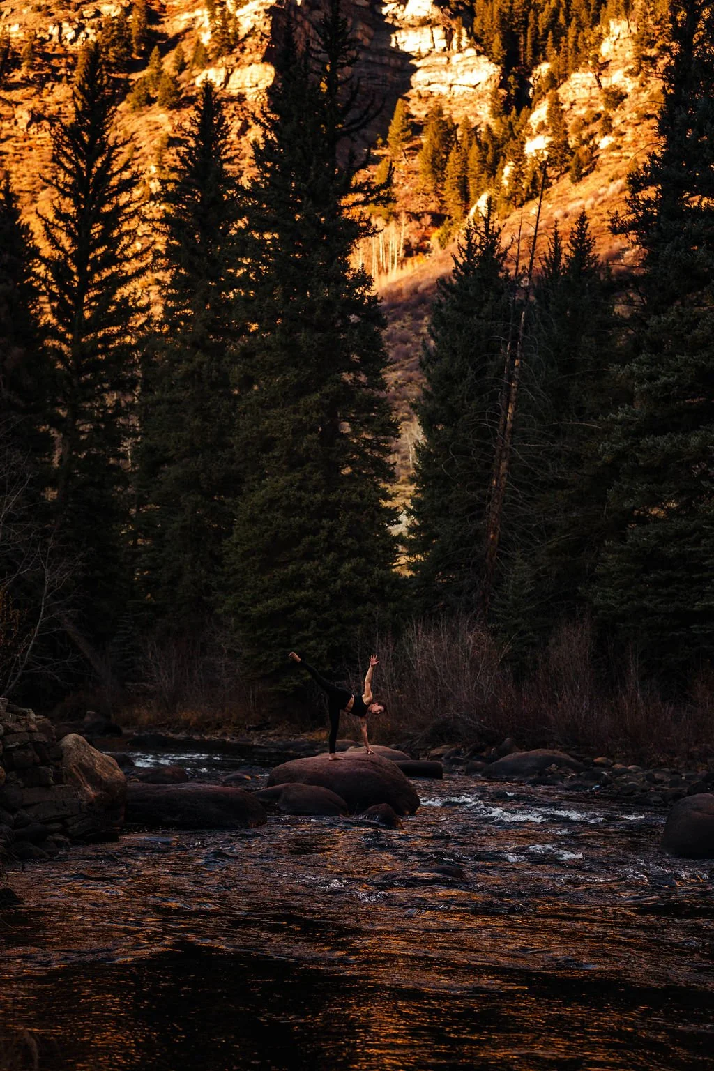 A person doing a yoga pose on a rock in a river, surrounded by tall pine trees and a mountain with a sunset sky in the background.