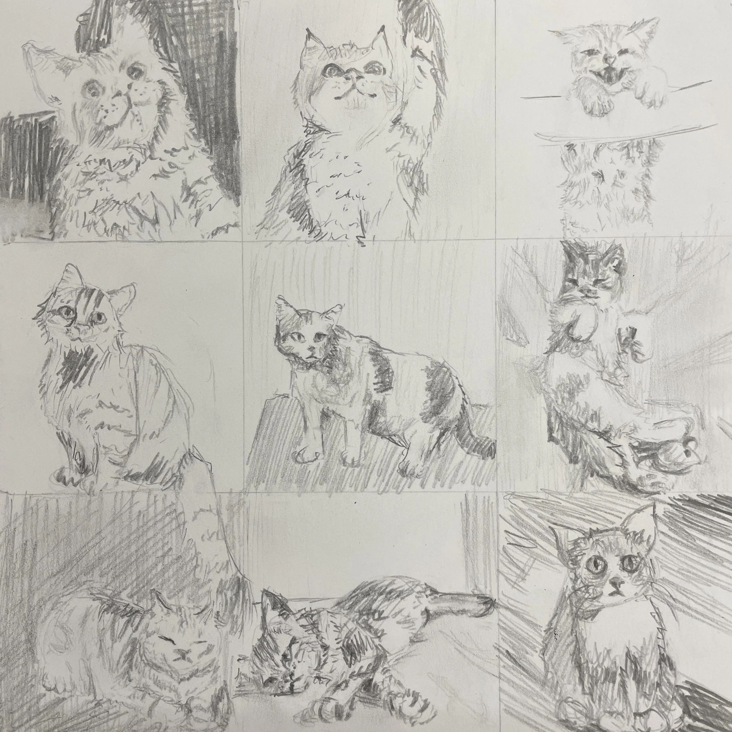 9 drawings