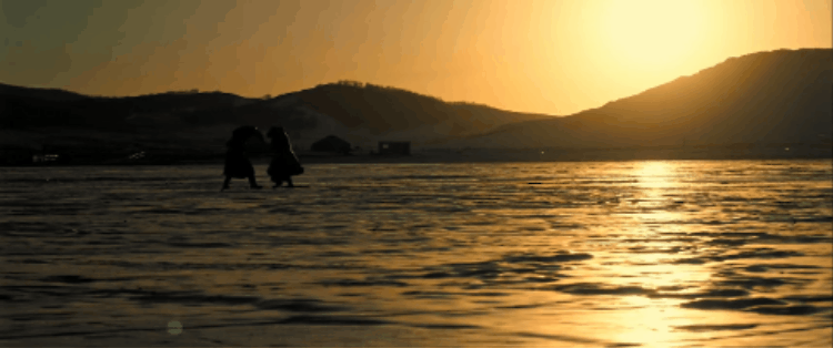 fire, mountain, wind, forest