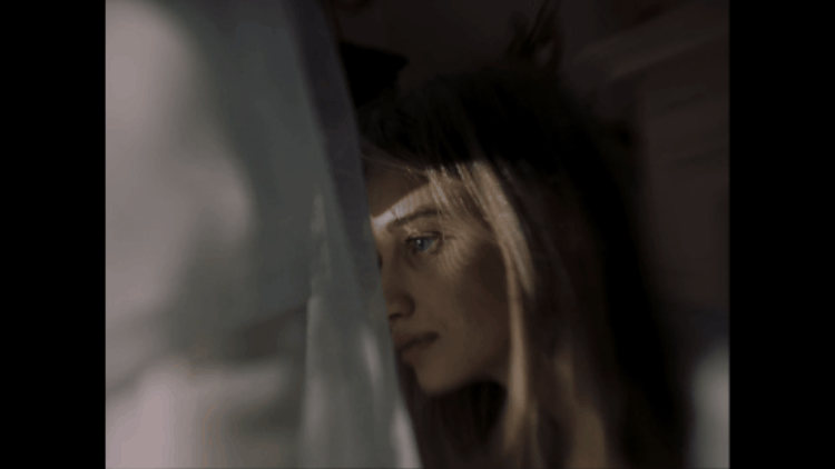 shards of us