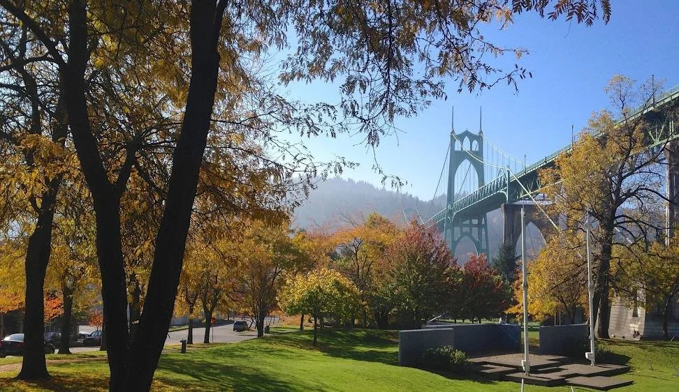 A park landscape with trees showcasing autumn colors, a bridge spanning a valley in the background, and a clear blue sky.