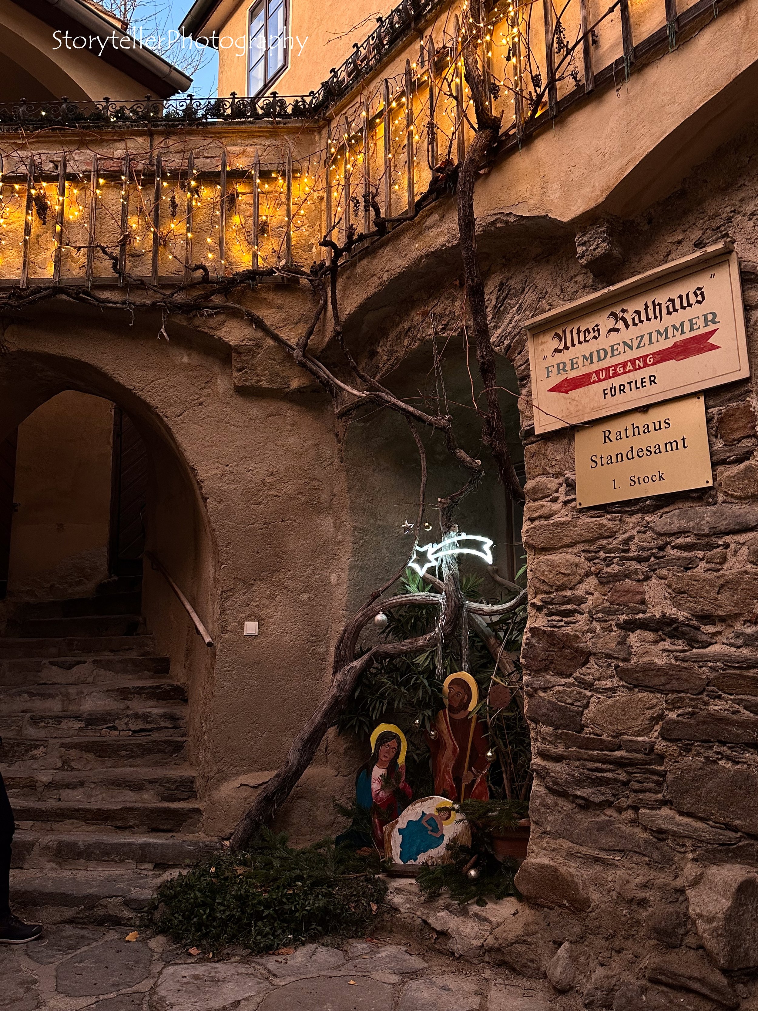 Olive Tree of Durnstein