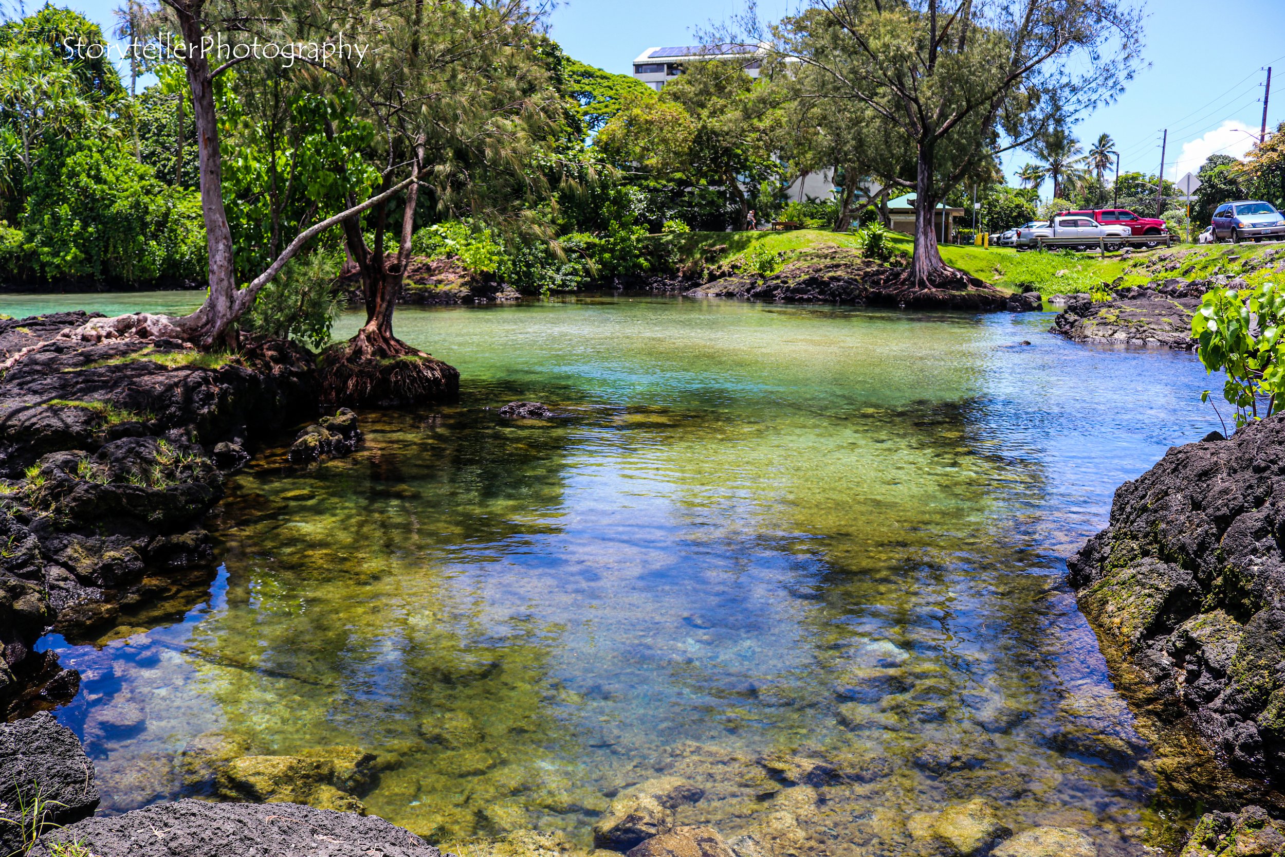 Gentle Cove