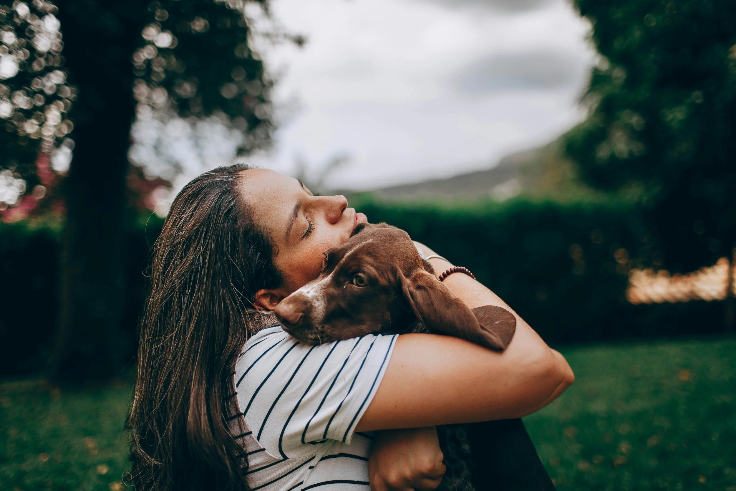 Honoring the Bond: Managing the Heartbreak of Losing a Pet