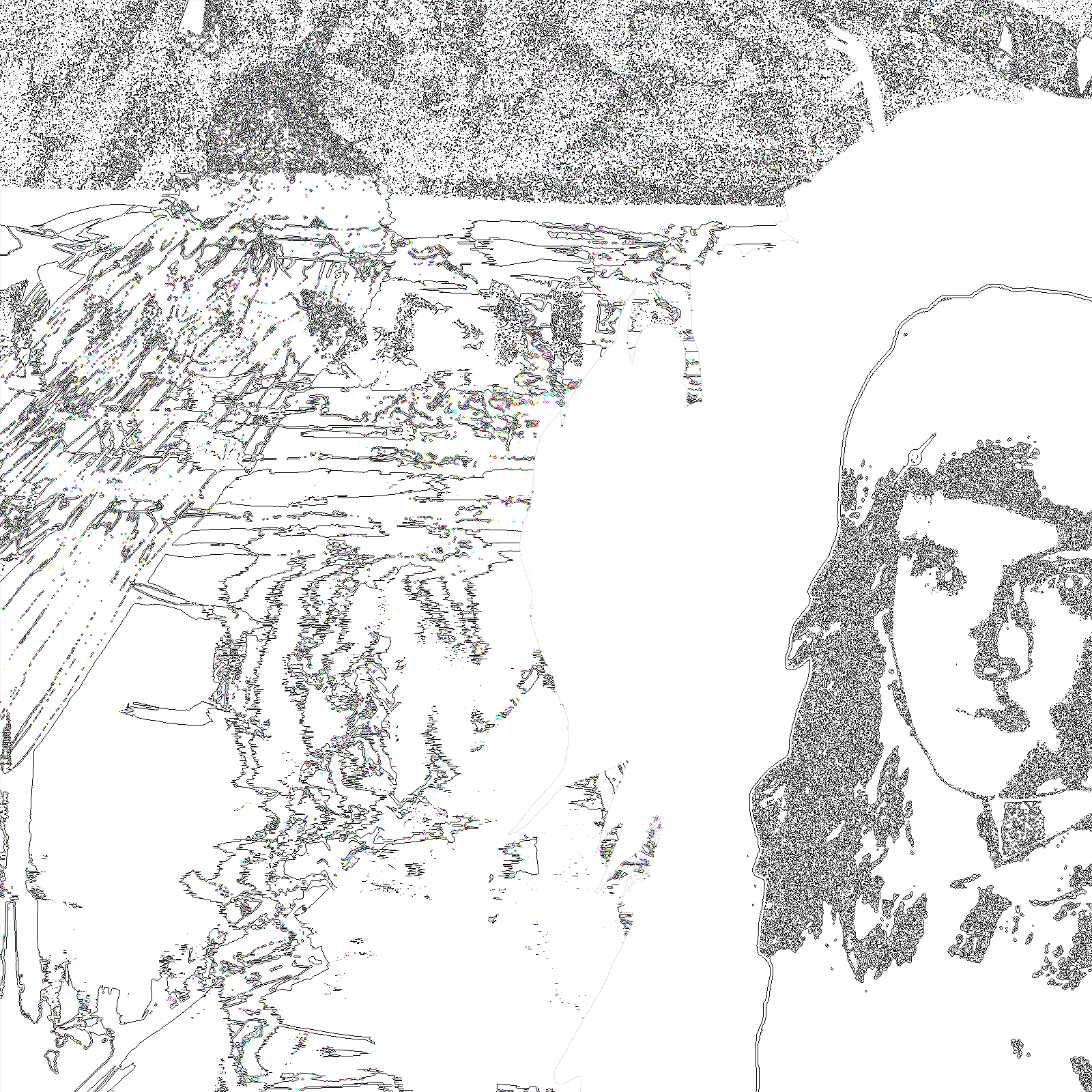 album.png