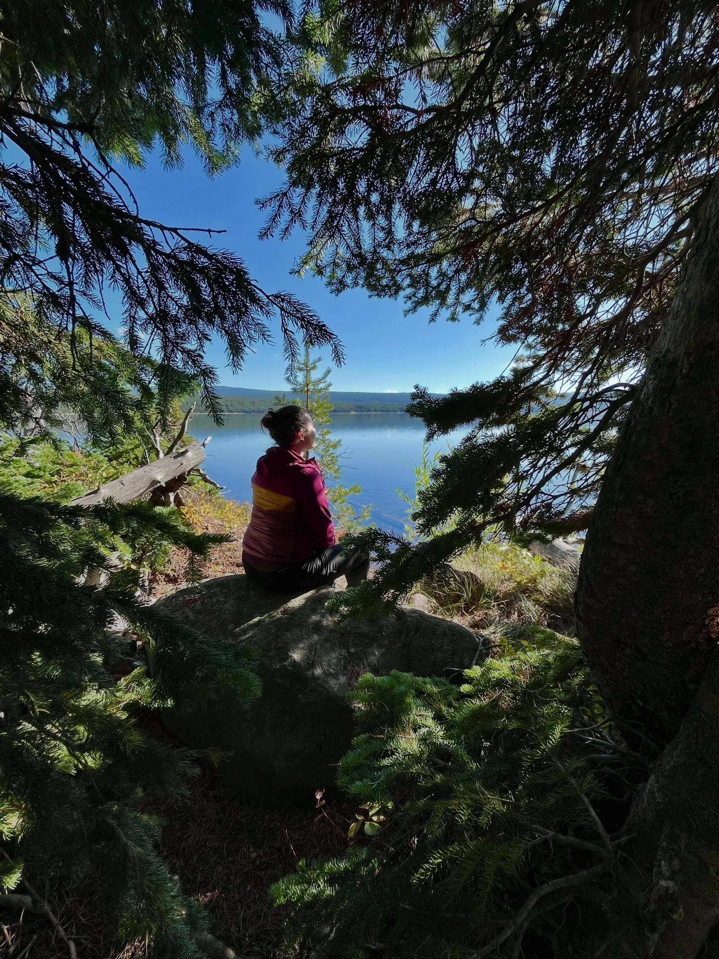 Tree church 🌳🌲🪾⛪️✨

For any fellow tree-church-goers who NEED some time to intentionally disconnect from this crazy world we live in, there&rsquo;s still 4 spots open for our Aug 24-28 backpacking + camping retreat in the heart of Yellowstone Nati