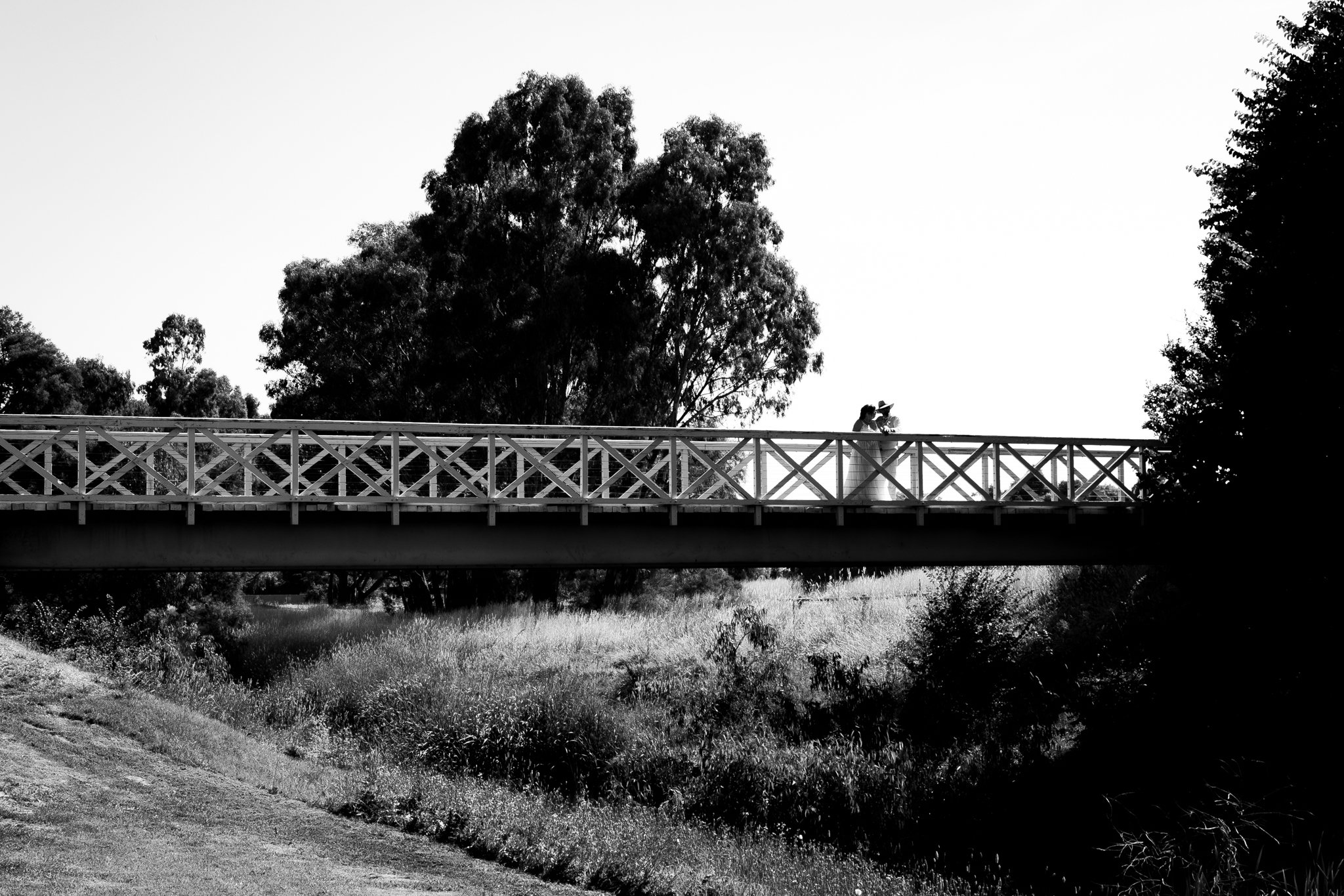 0A0A0006.jpg