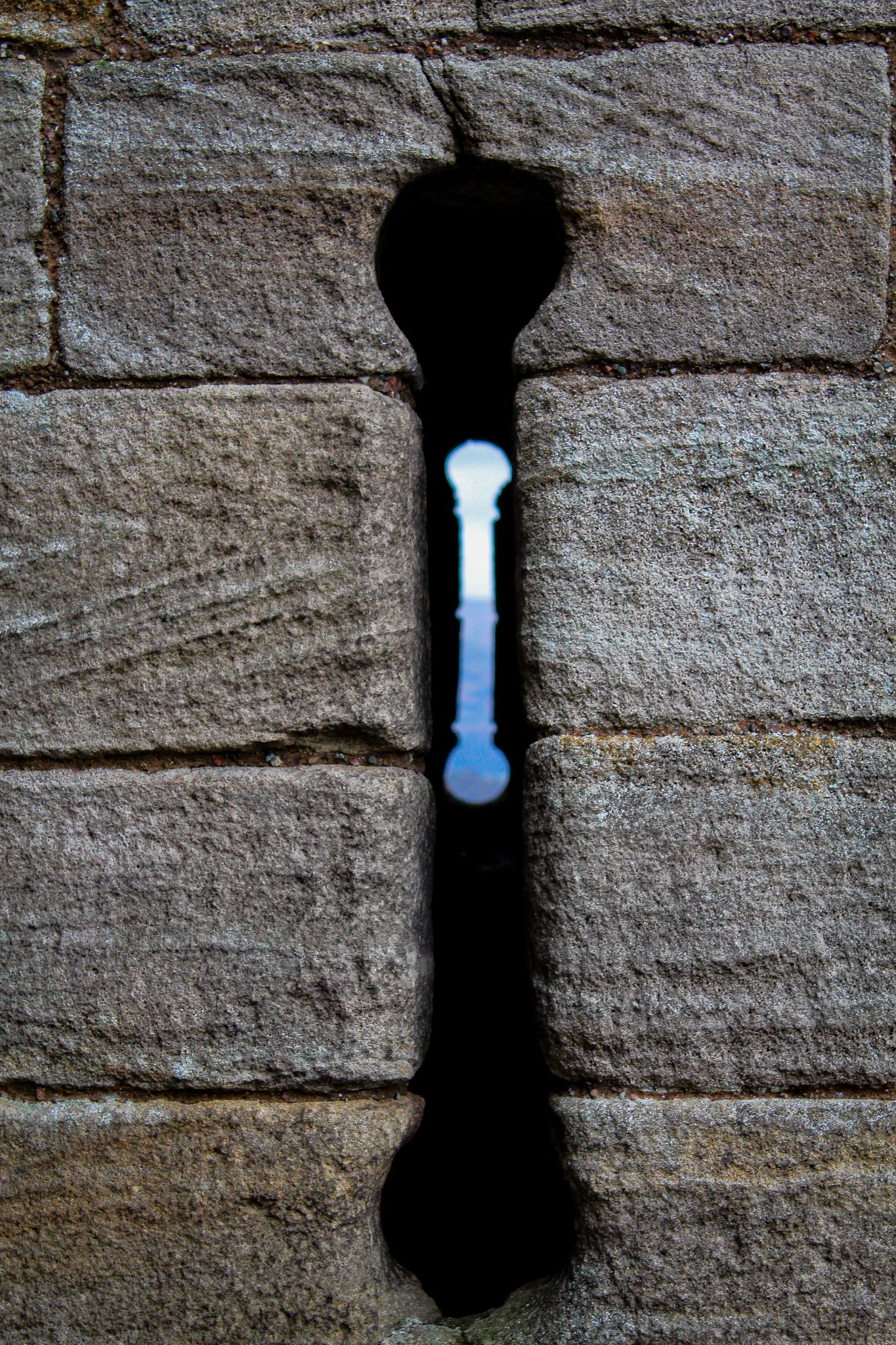 55.jpg