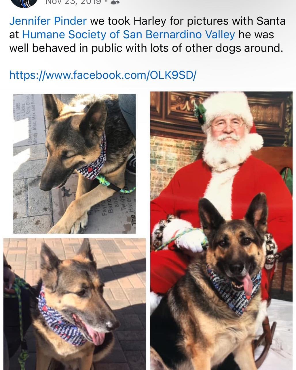 I always love holiday updates! Please feel free to post yours in the comments!!!

🐾
🐾
🐾
🐾

#dogtraining #dogtrainersofinstagram #okdogtrainer #dogtraining101 #tulsadogtrainer #okdogtraining #dogtrainer #dog #trainingbyjen #dogtrainers #tulsaoklah