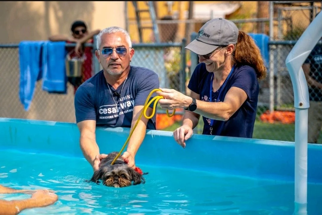 Pool Training with Cesar.jpg