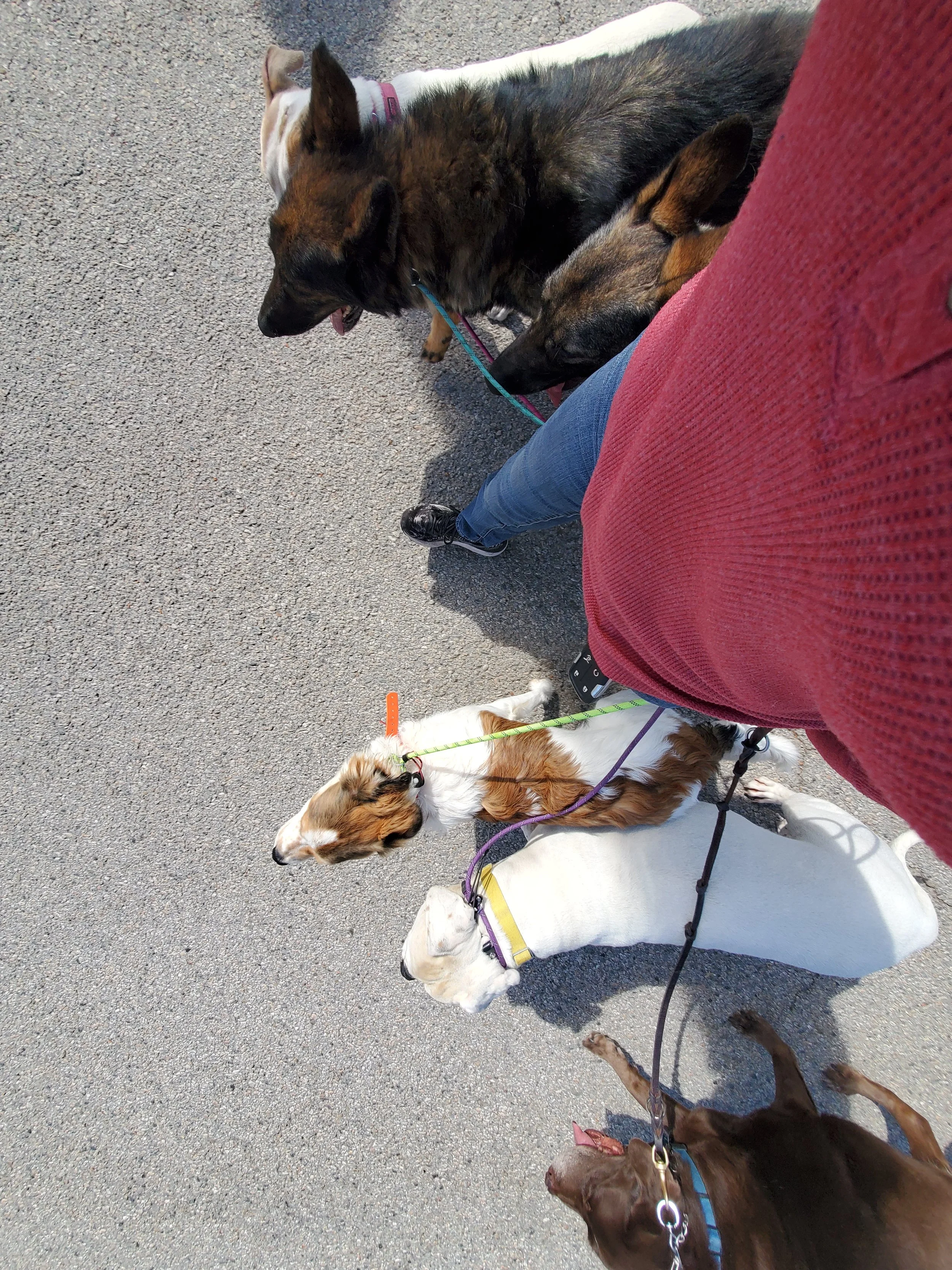 Pack Walk 4-2022.jpg