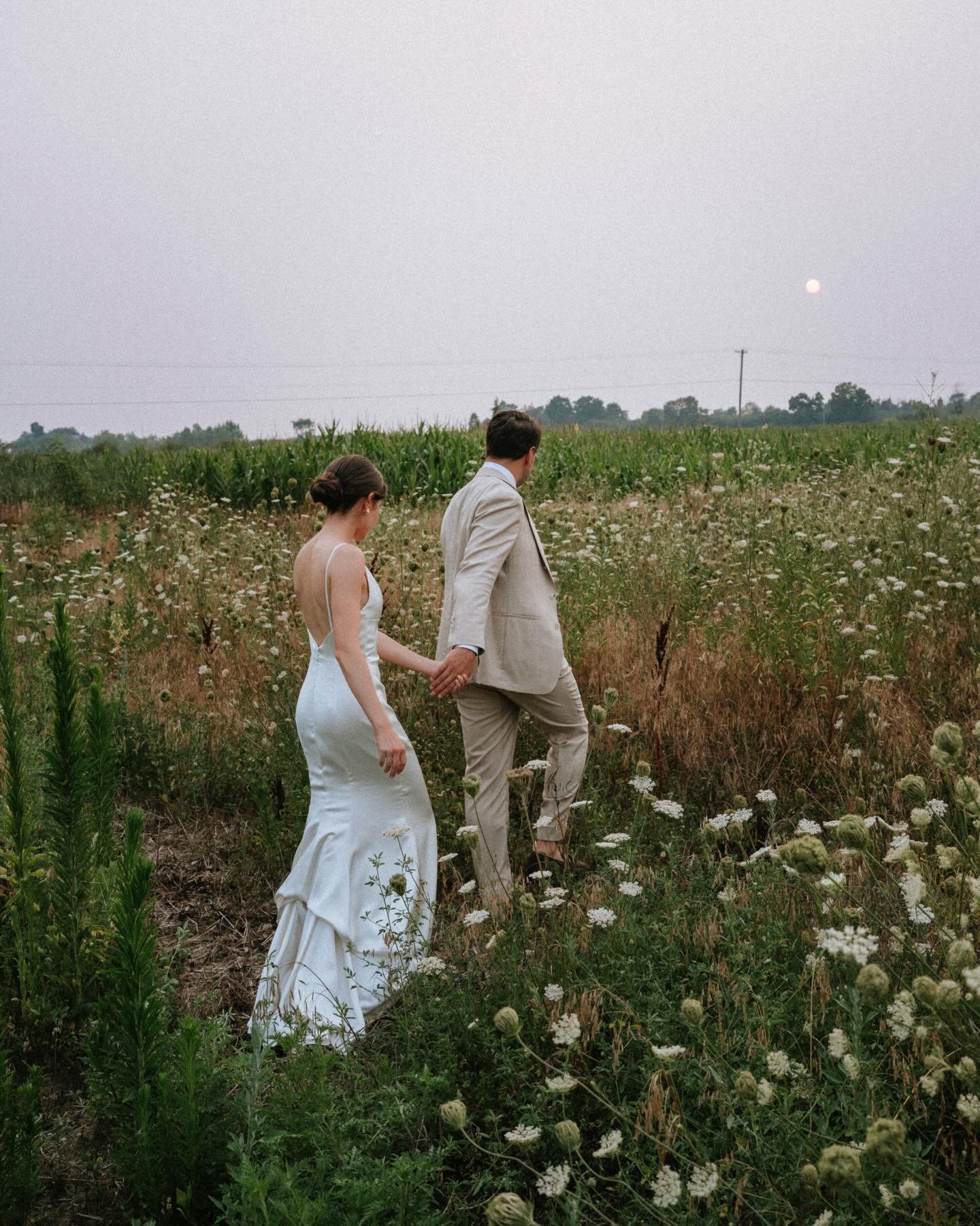 give me fields of queen anne&rsquo;s lace
wild gardens and warm august nights

the always stunning @thebrighthousefarm
a mix of digital + film

planning by @bailliedavidandco 

#princeedwardcounty
#pecwedding
#pecweddingphotographer
#ontariowedding
#