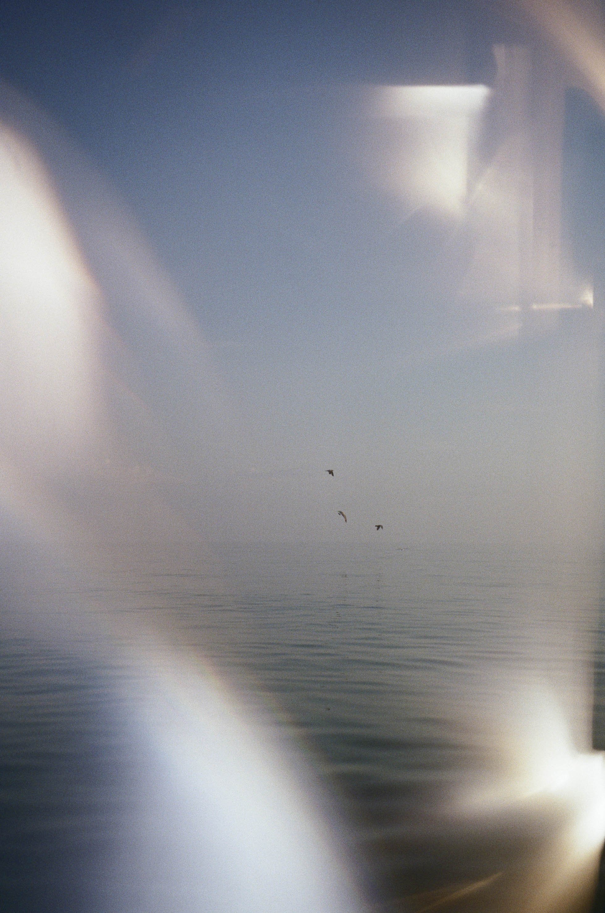 Photograph of a calm ocean with three birds flying in the sky, taken through a window with light reflections and distortions.