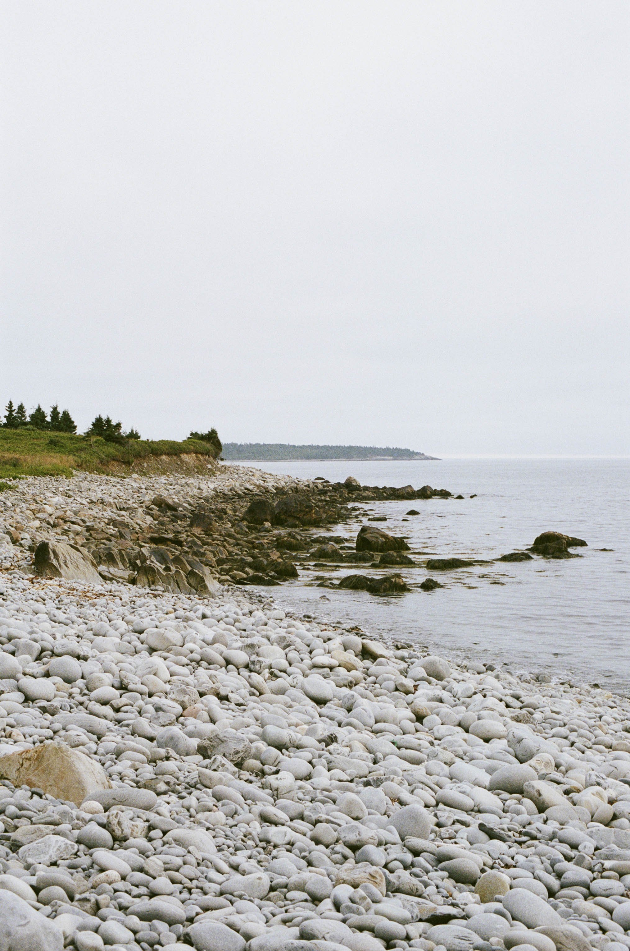 A rocky beach with smooth, rounded stones stretching along the shoreline, with calm water and a distant tree-lined horizon under an overcast sky.