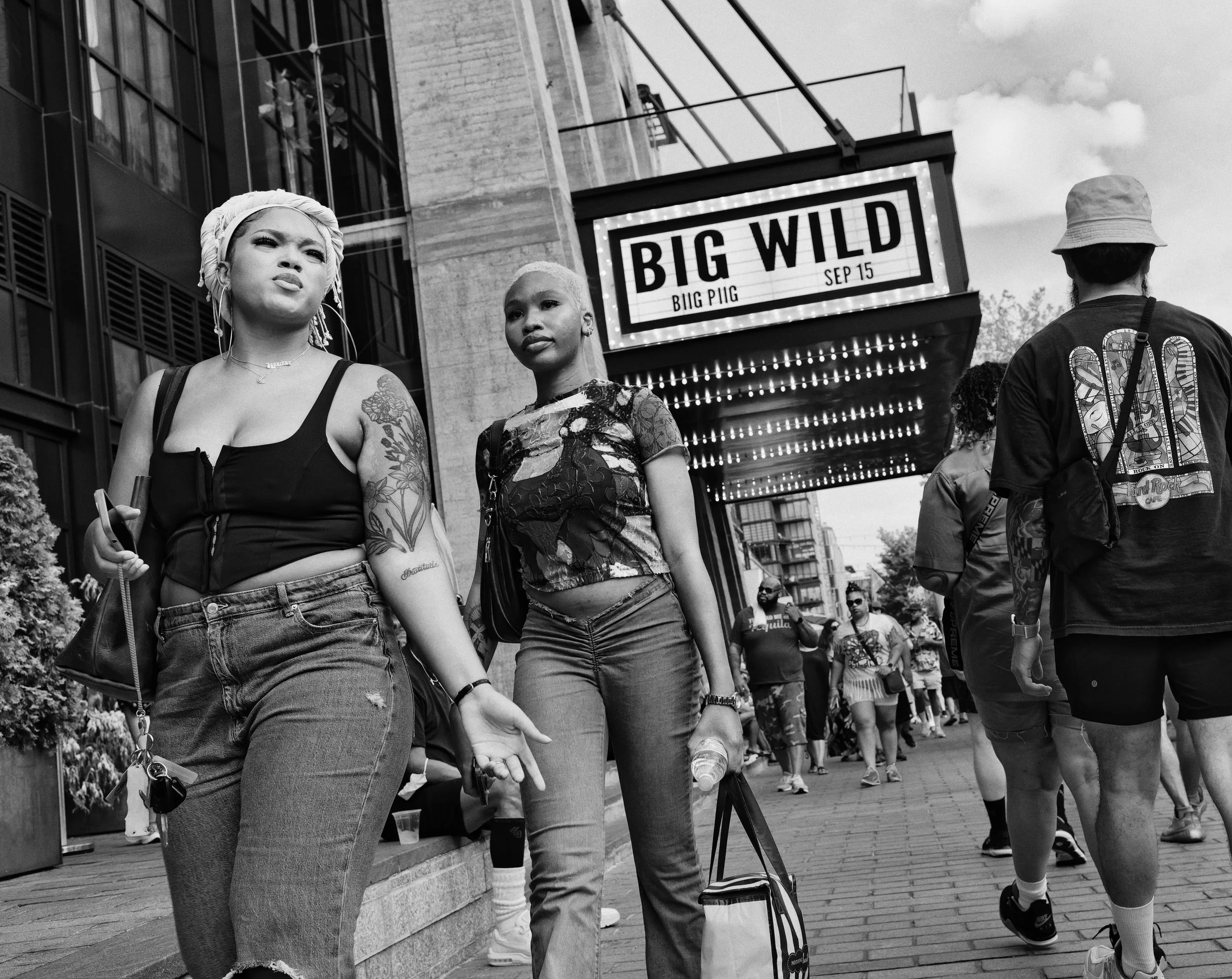 Big Wild