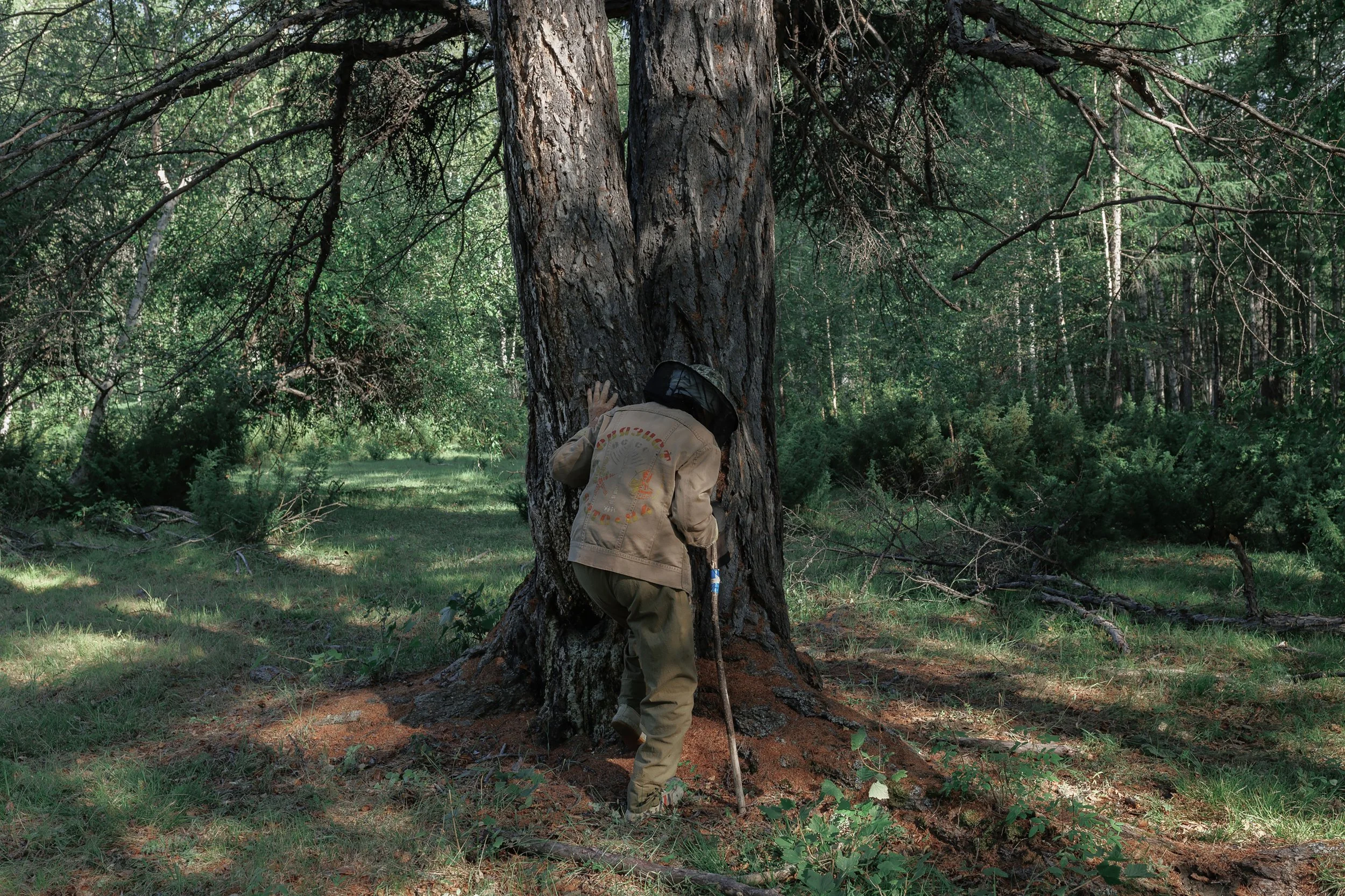 Lyu-fa Slava "When the Birch Leaves Shine"