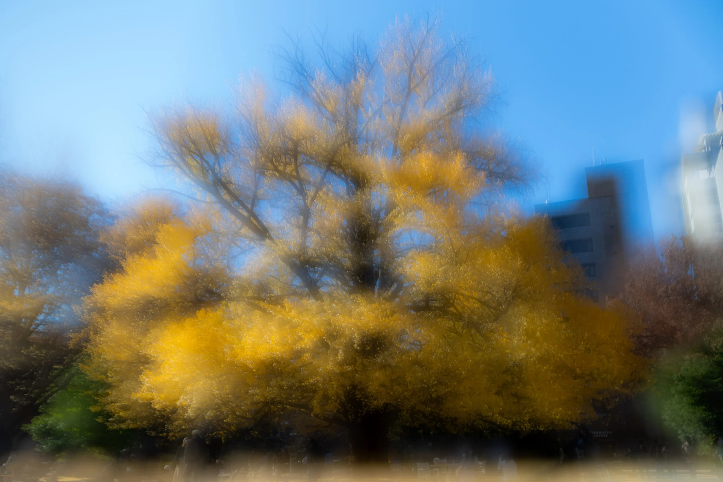 Masaki Nakamura: "1.0/0.1 -Two Eyes, Two Views-"