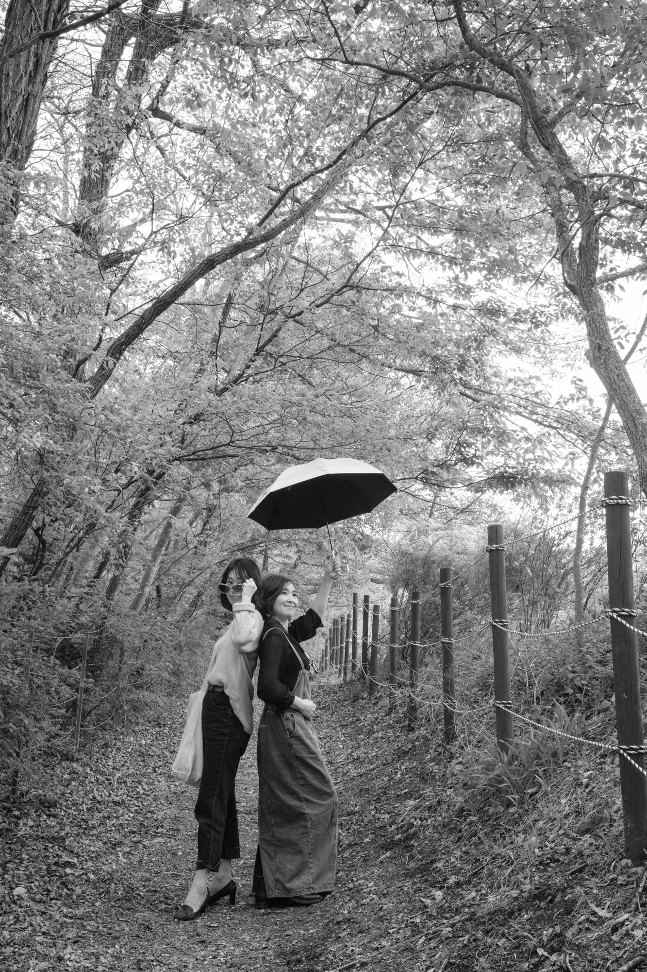 ©2025 George Nobechi