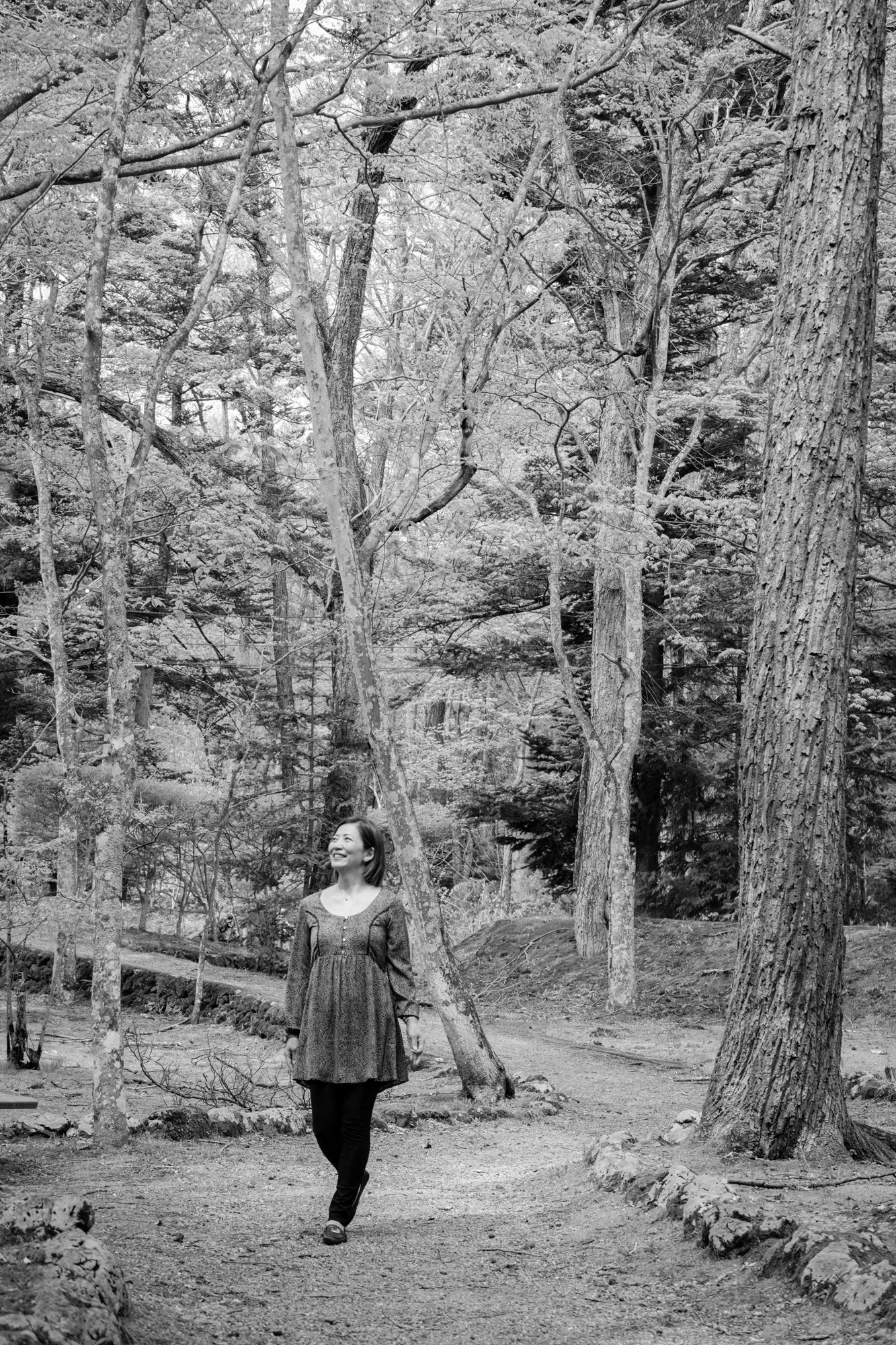 ©2025 George Nobechi