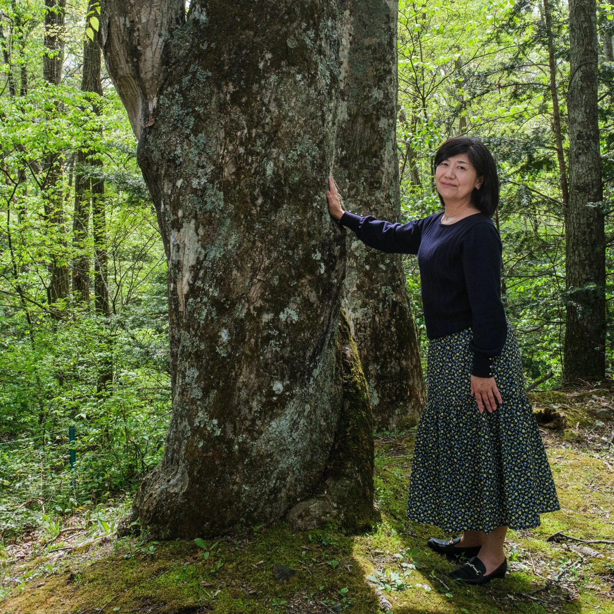 ©2025 George Nobechi