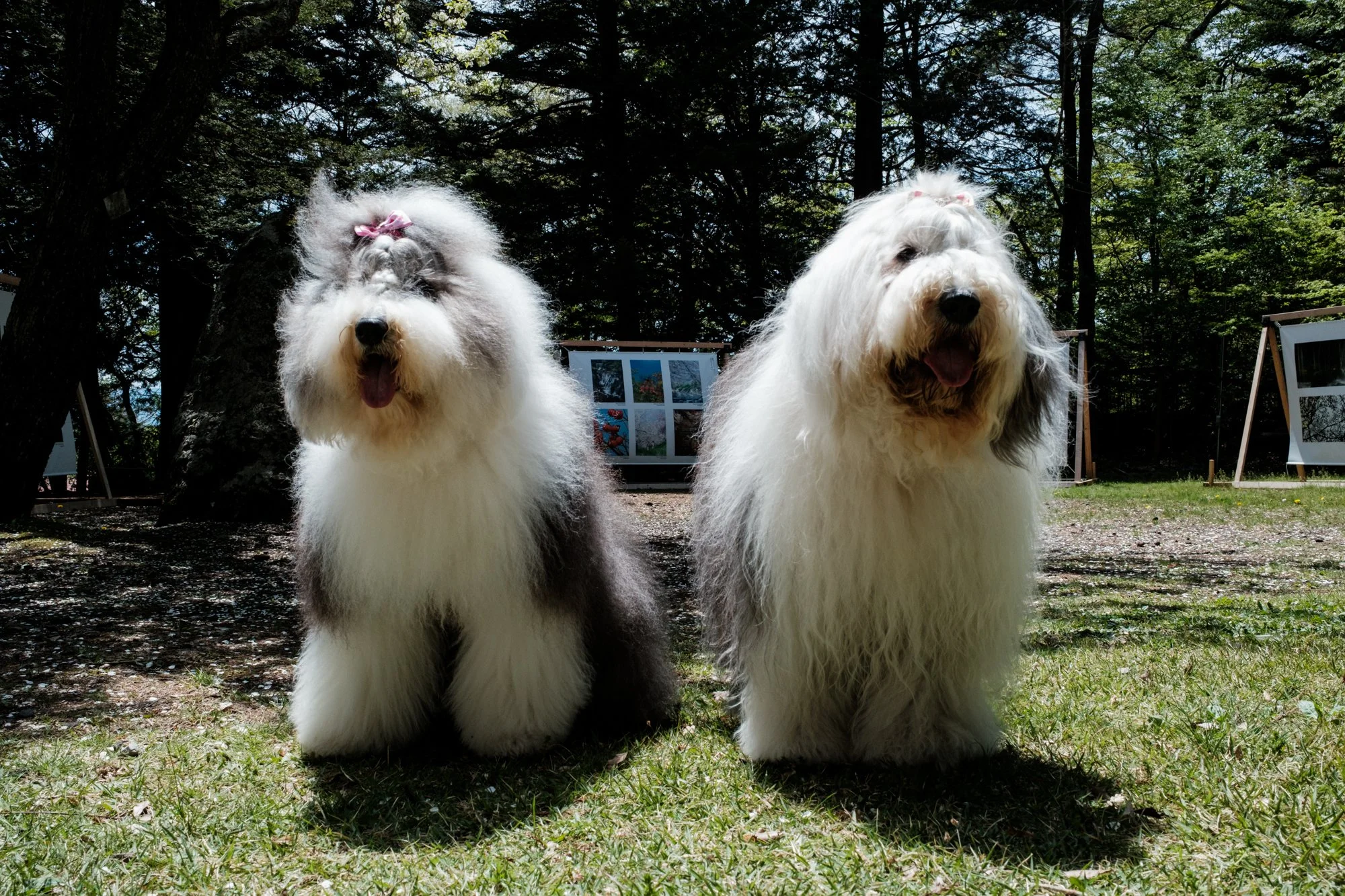 ©2025 George Nobechi