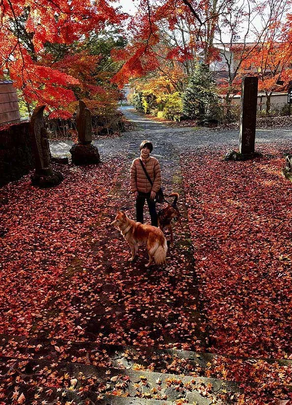 Yasumasa Ookado