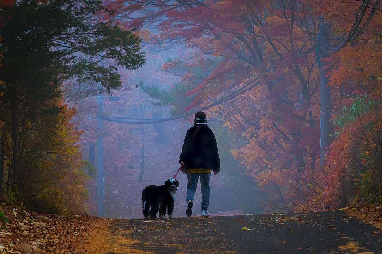 Koichi Noda