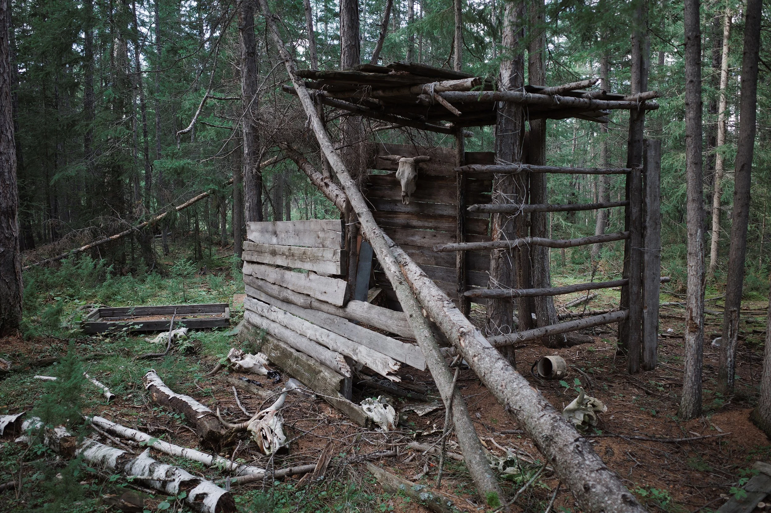 Lyu-fa Slava "When the Birch Leaves Shine"