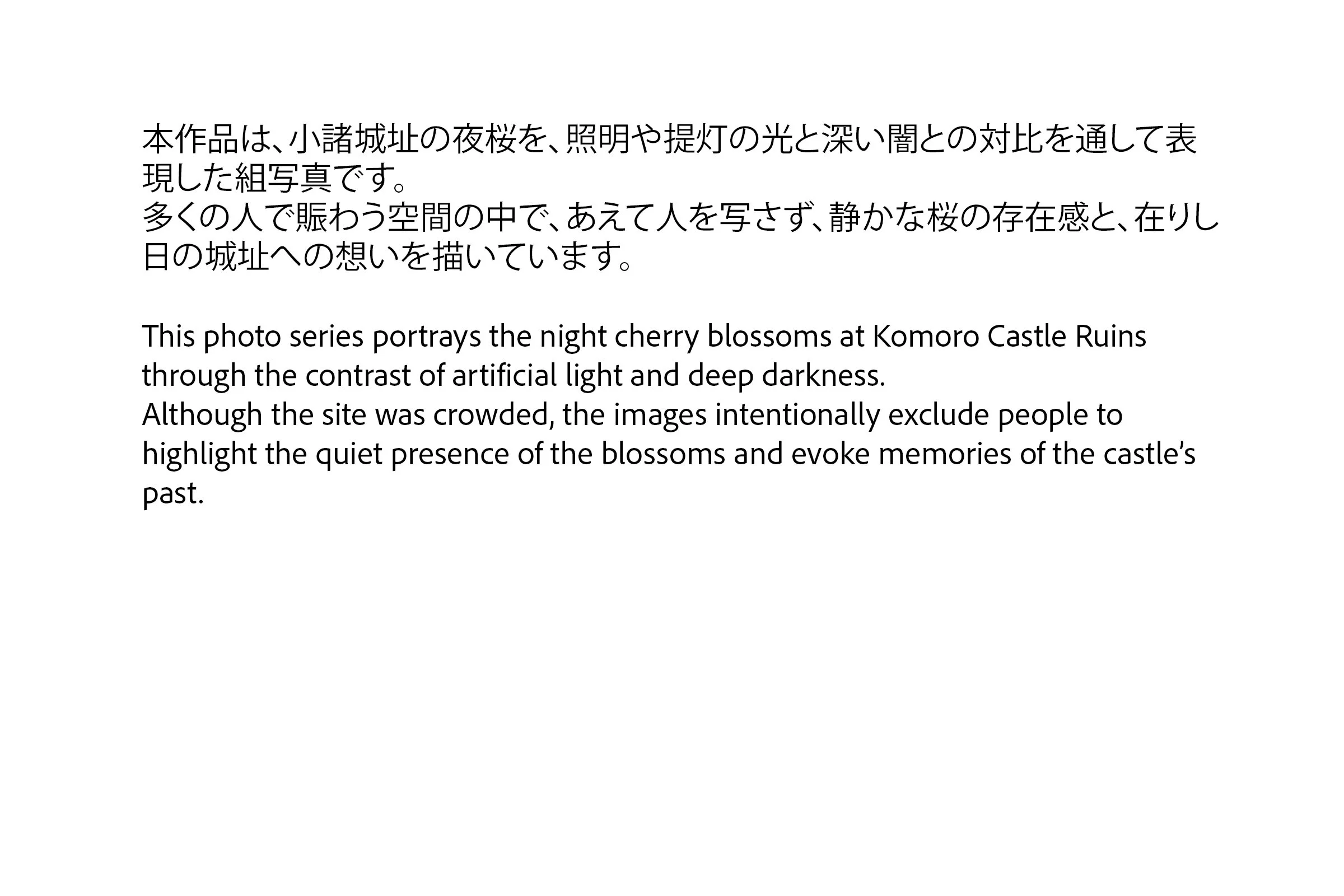 Chie Oshima: 「小諸城址 夜桜の陰影 (Shadows and Light: Night Blossoms at Komoro Castle Ruins)」- statement