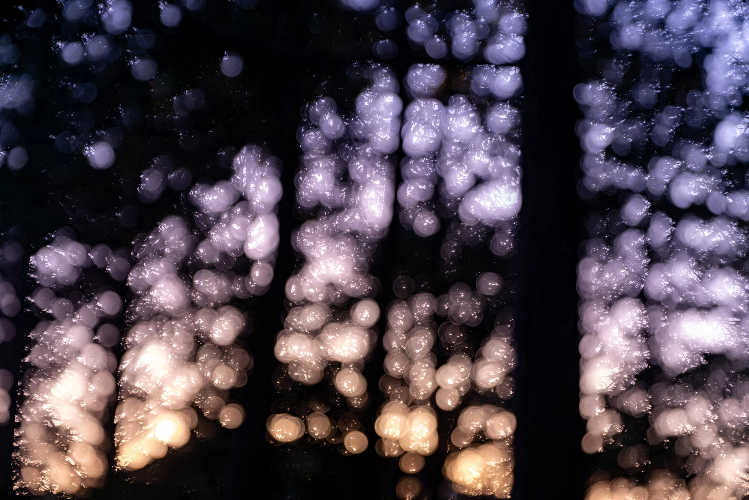 Masaki Nakamura: "1.0/0.1 -Two Eyes, Two Views-"