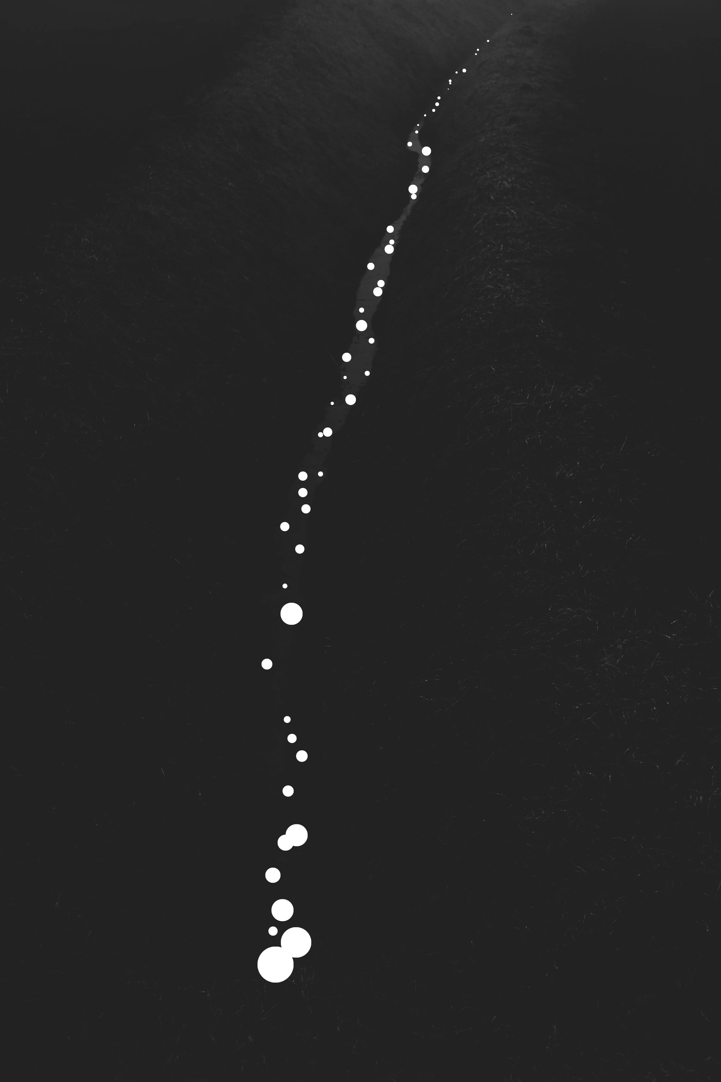 Akira Seo "free bird"
