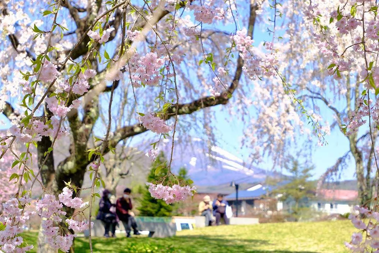 Naoko Watanabe