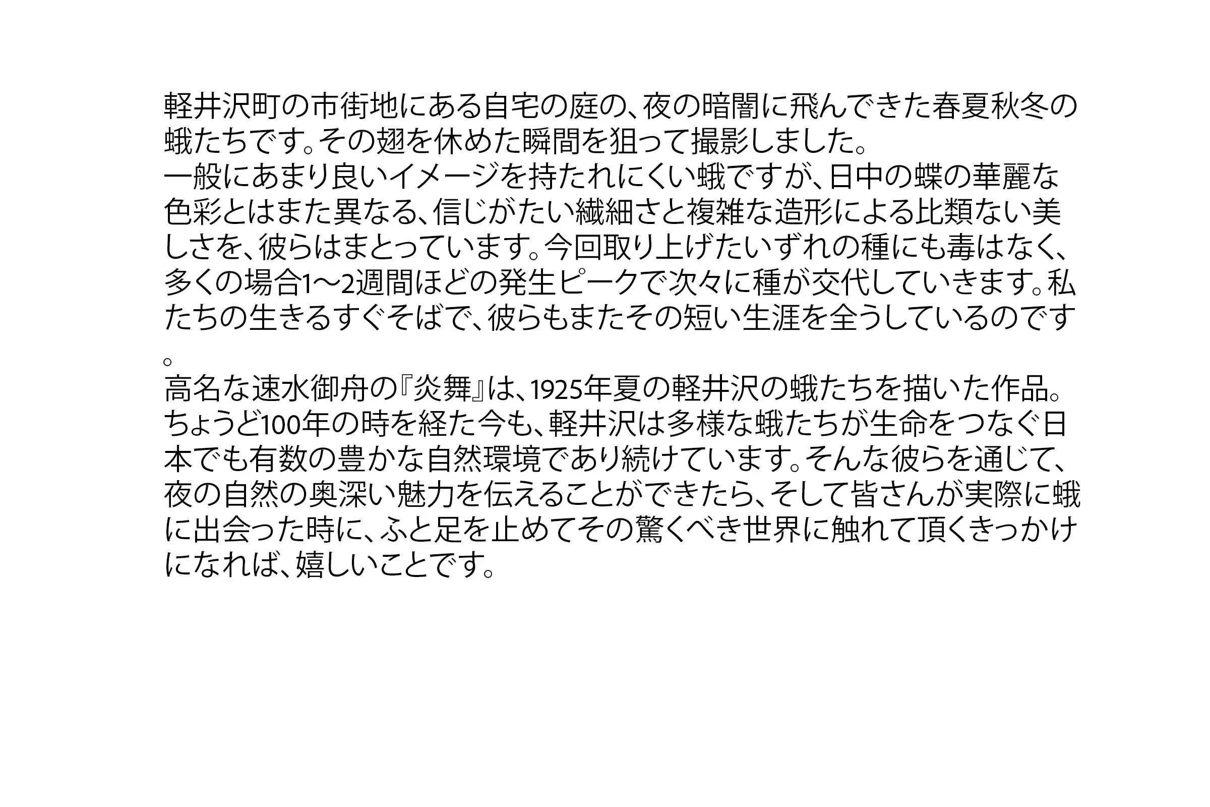 Hidemori Yazaki: 「Moths Calendar 〜軽井沢の蛾の一年〜」- statement
