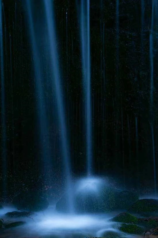 Junshin Tanaka