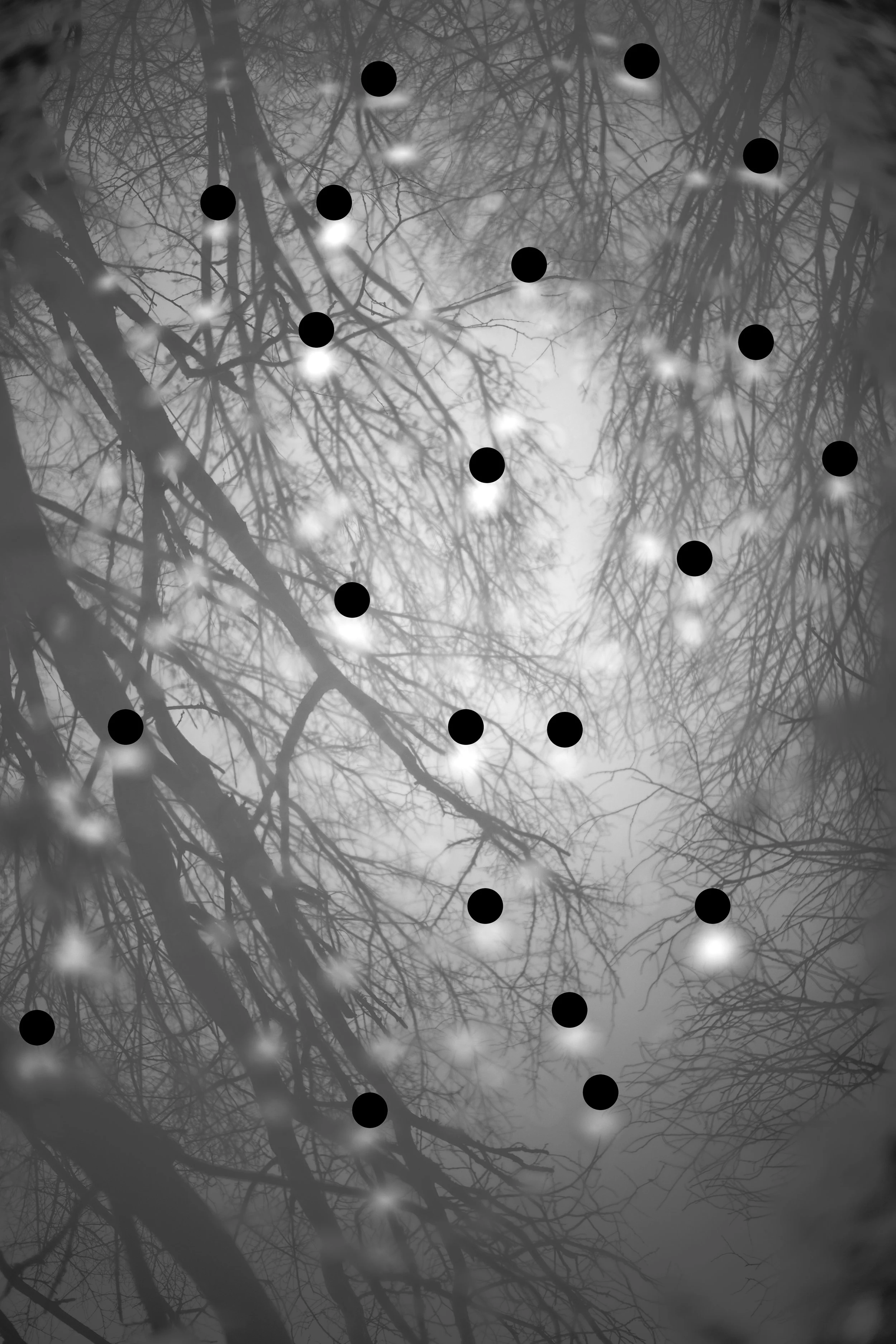 Akira Seo "free bird"