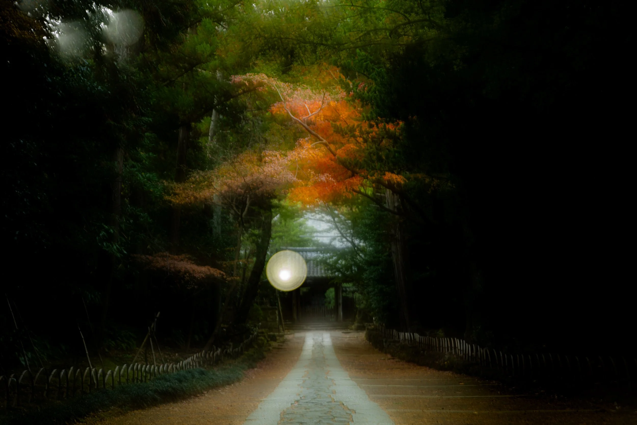 Masaki Nakamura: "1.0/0.1 -Two Eyes, Two Views-"