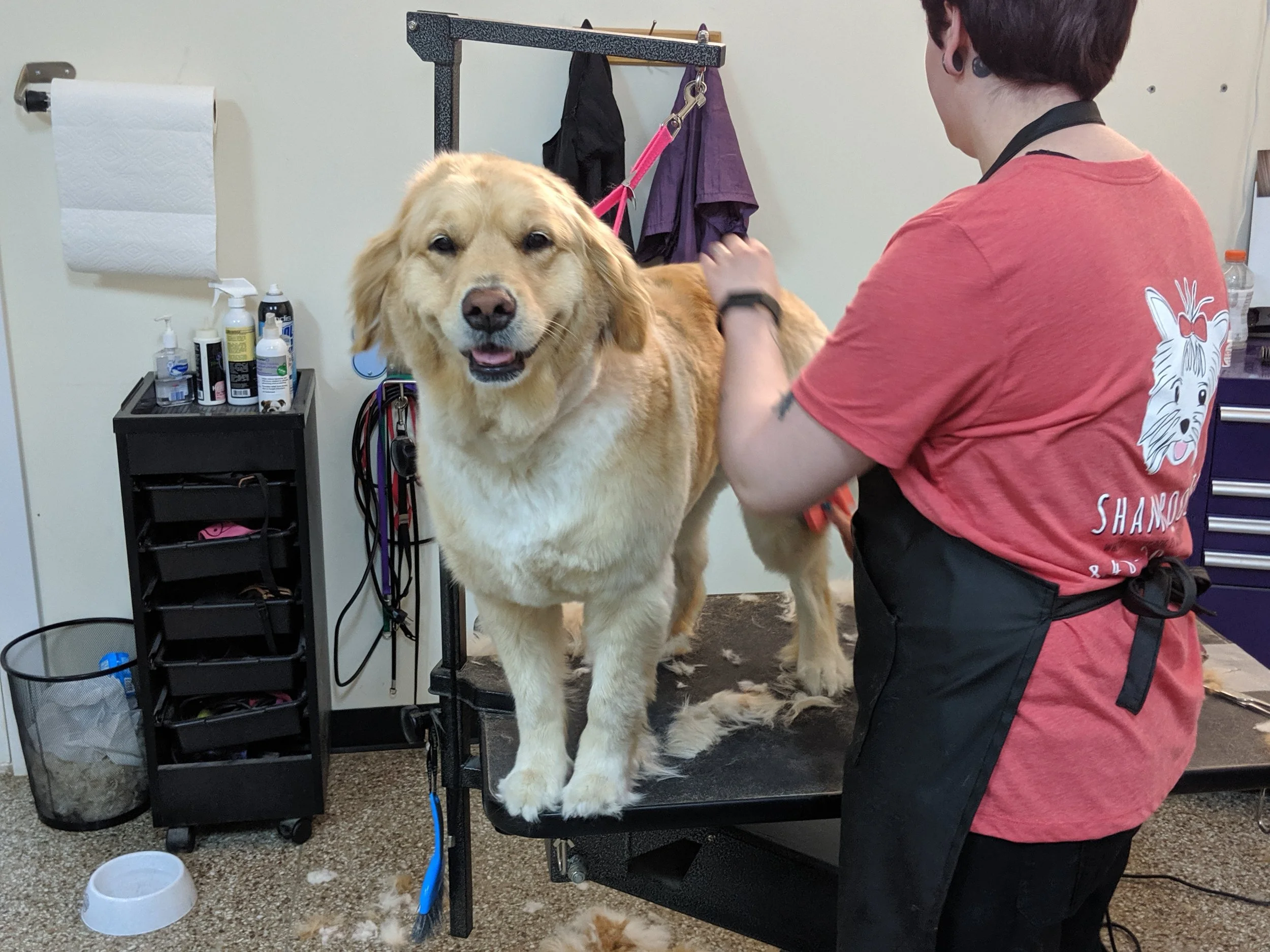 Shampoochies dog grooming