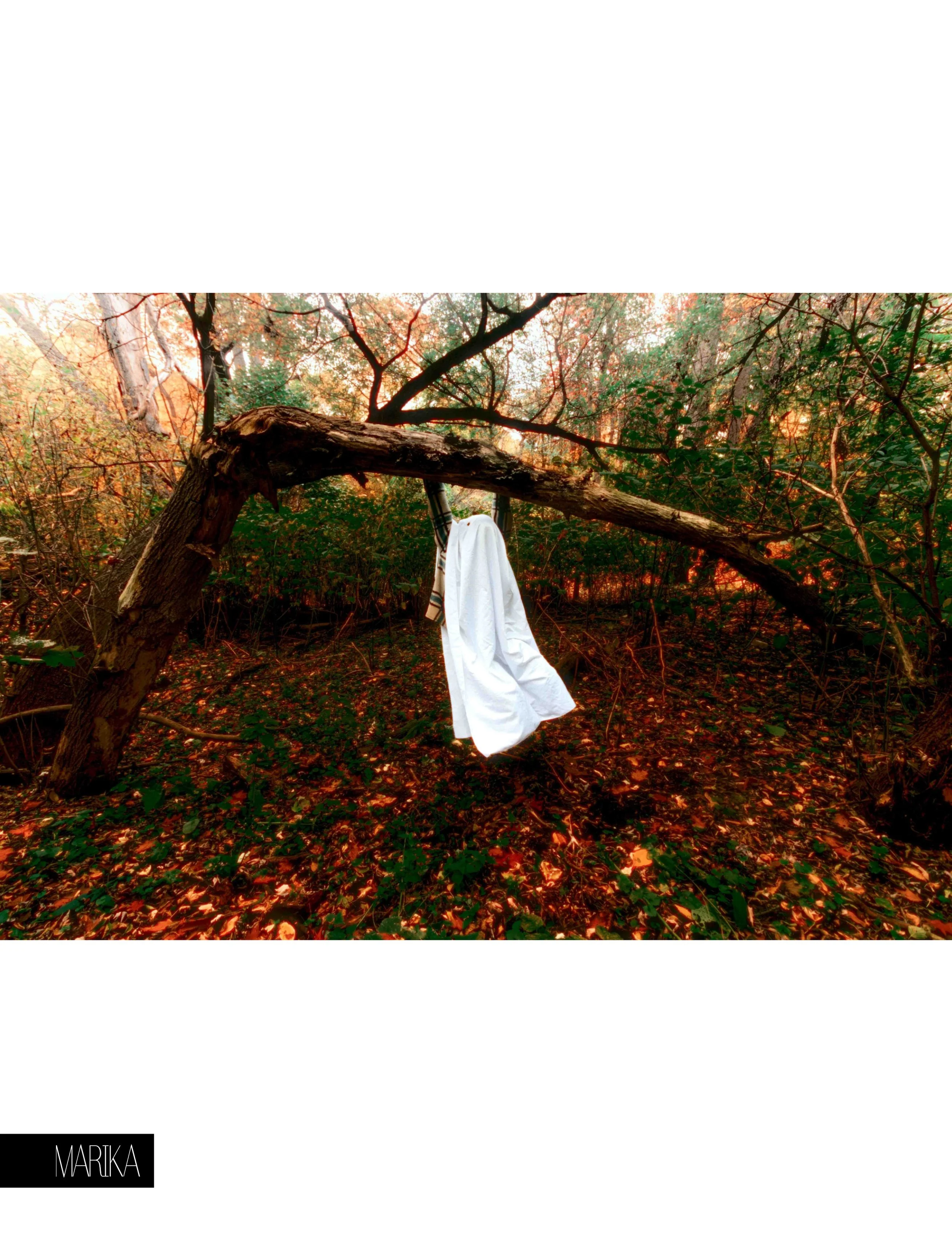 A wooded area with trees and fallen leaves, a bent tree trunk with a white garment hanging from it.