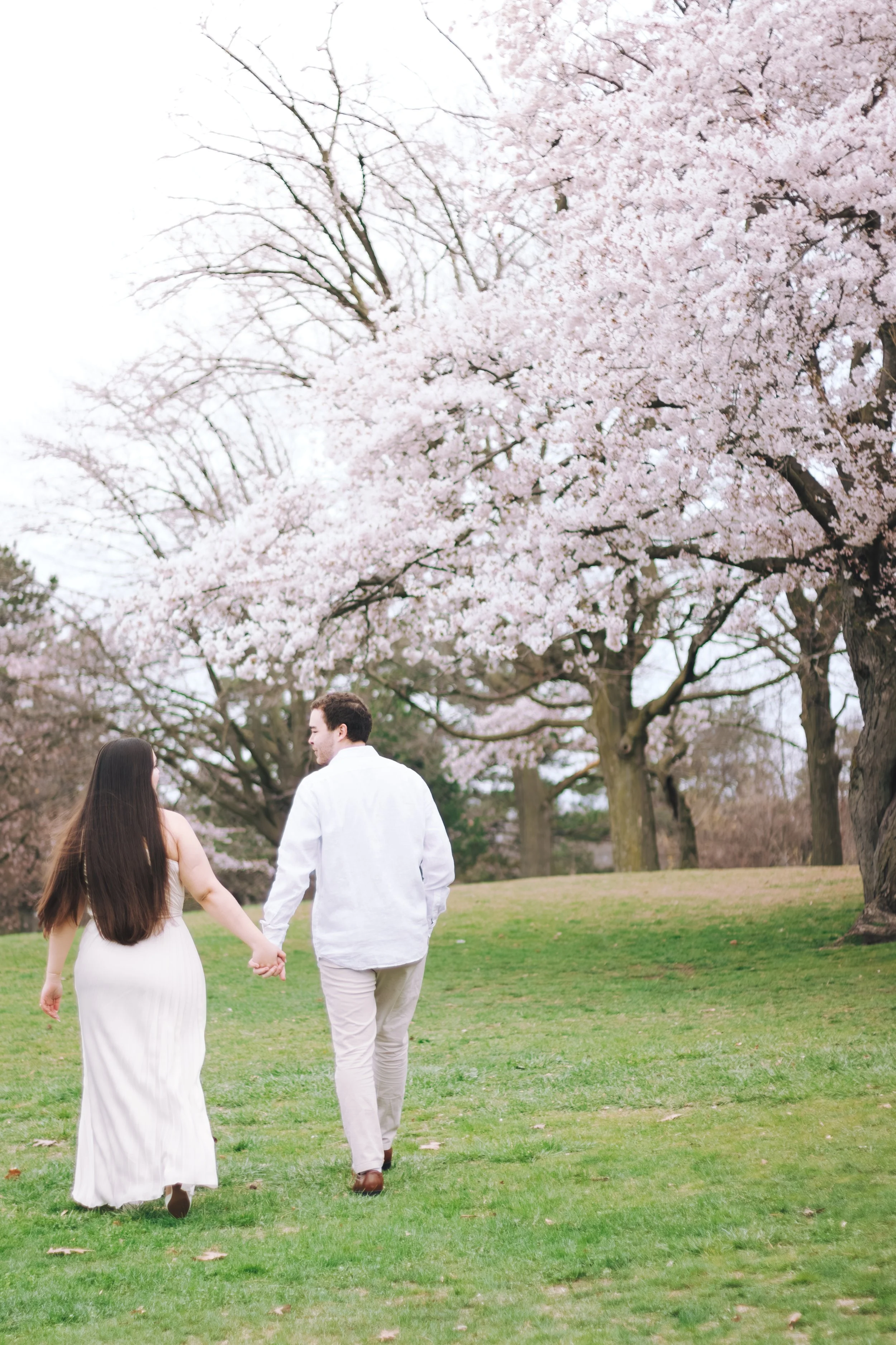 A couple holding hands walks on a grassy area in a park with pink cherry blossom trees in bloom.