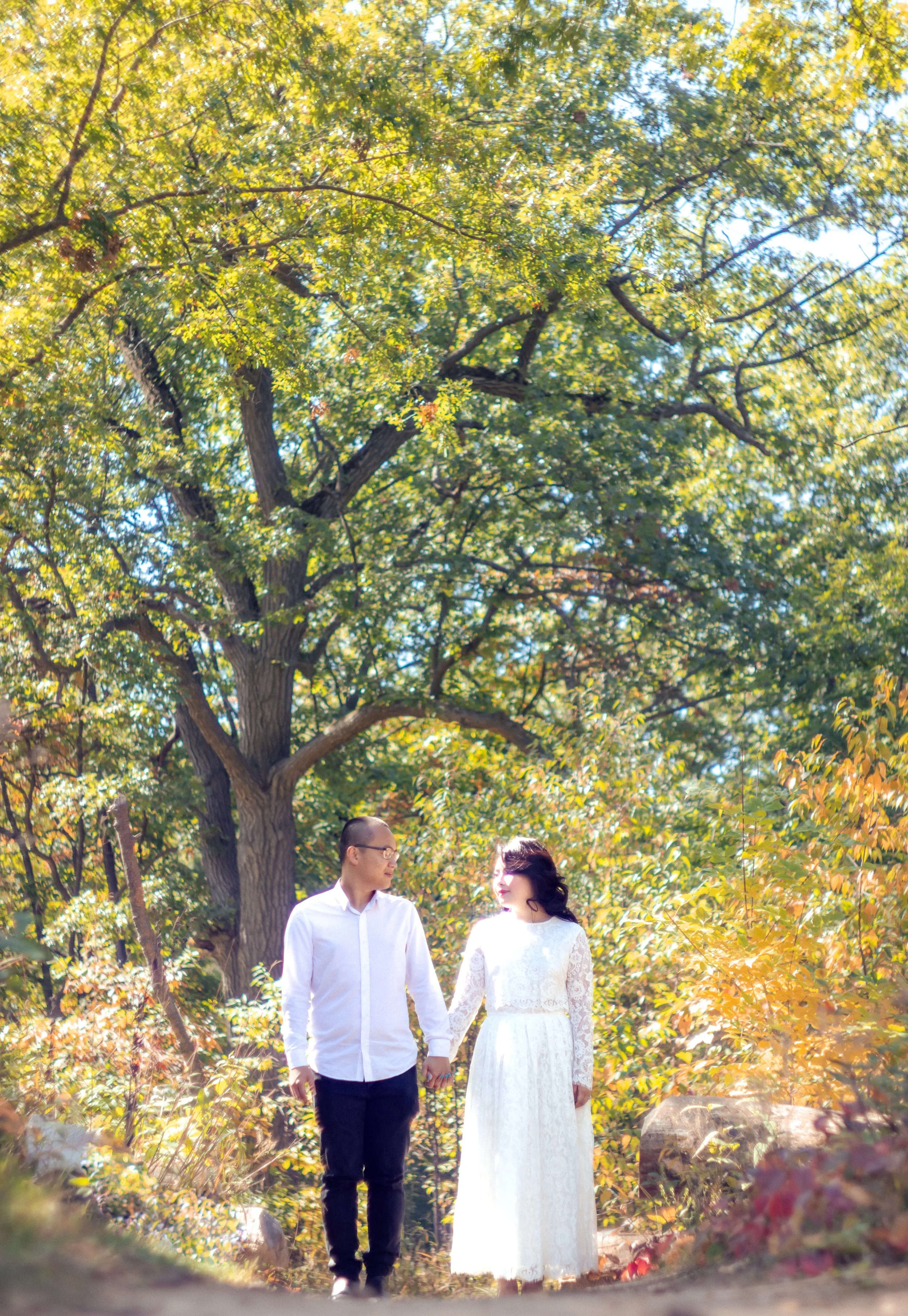 A couple walking hand in hand through a sunlit forest in autumn, with tall trees and colorful foliage.