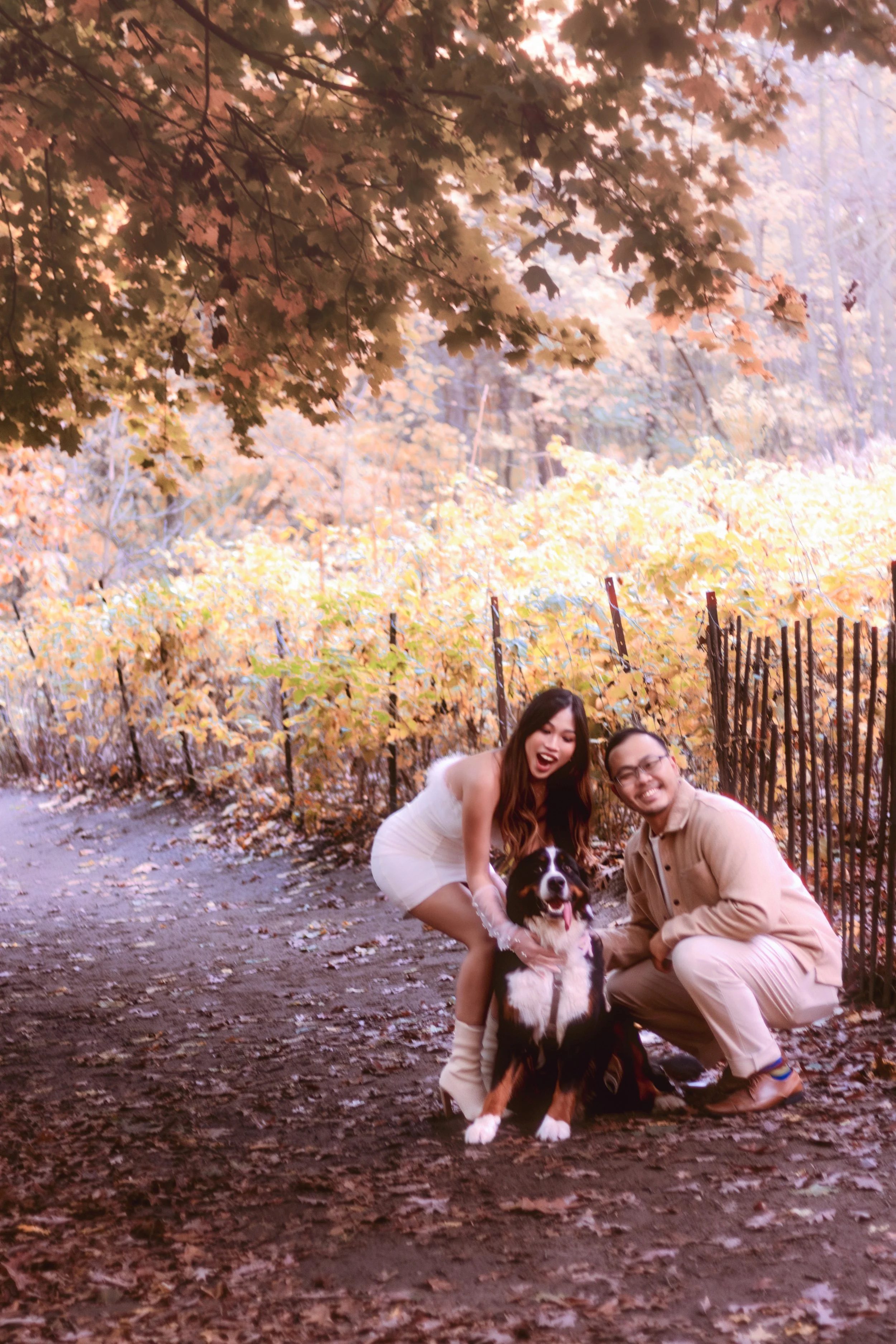 Two people smiling and posing with a Bernese Mountain Dog on a fall trail with colorful autumn leaves and trees in the background.